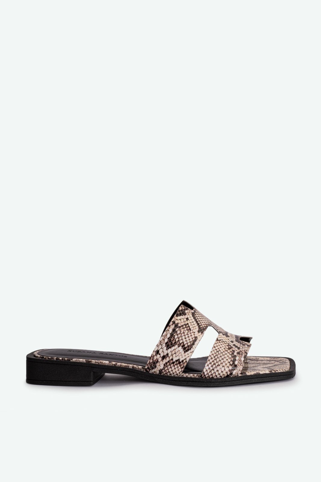 Flat Chloe Cobra Suzana Santos