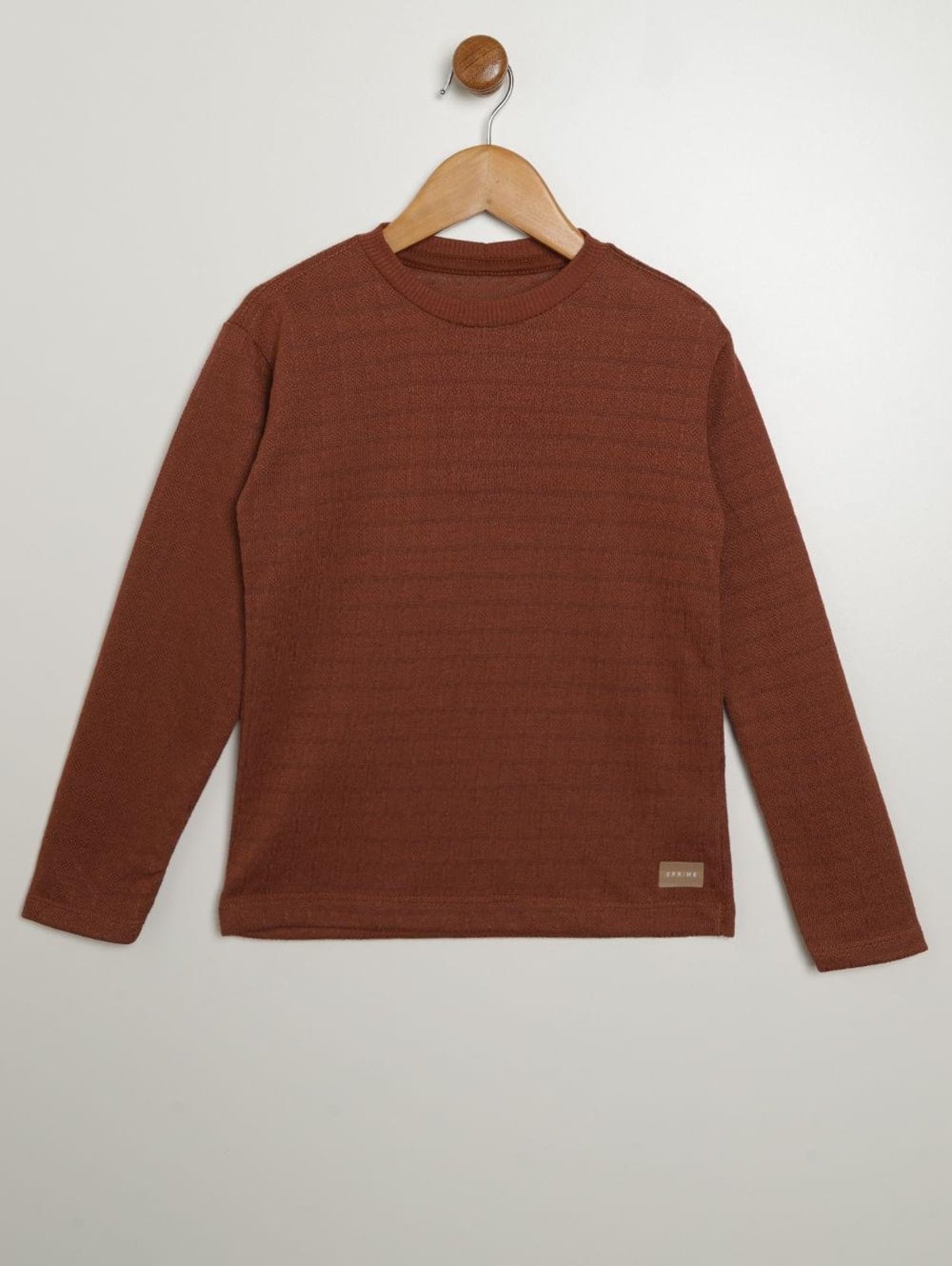 Infantil - Camiseta Tricot Max Para Menino - MARROM