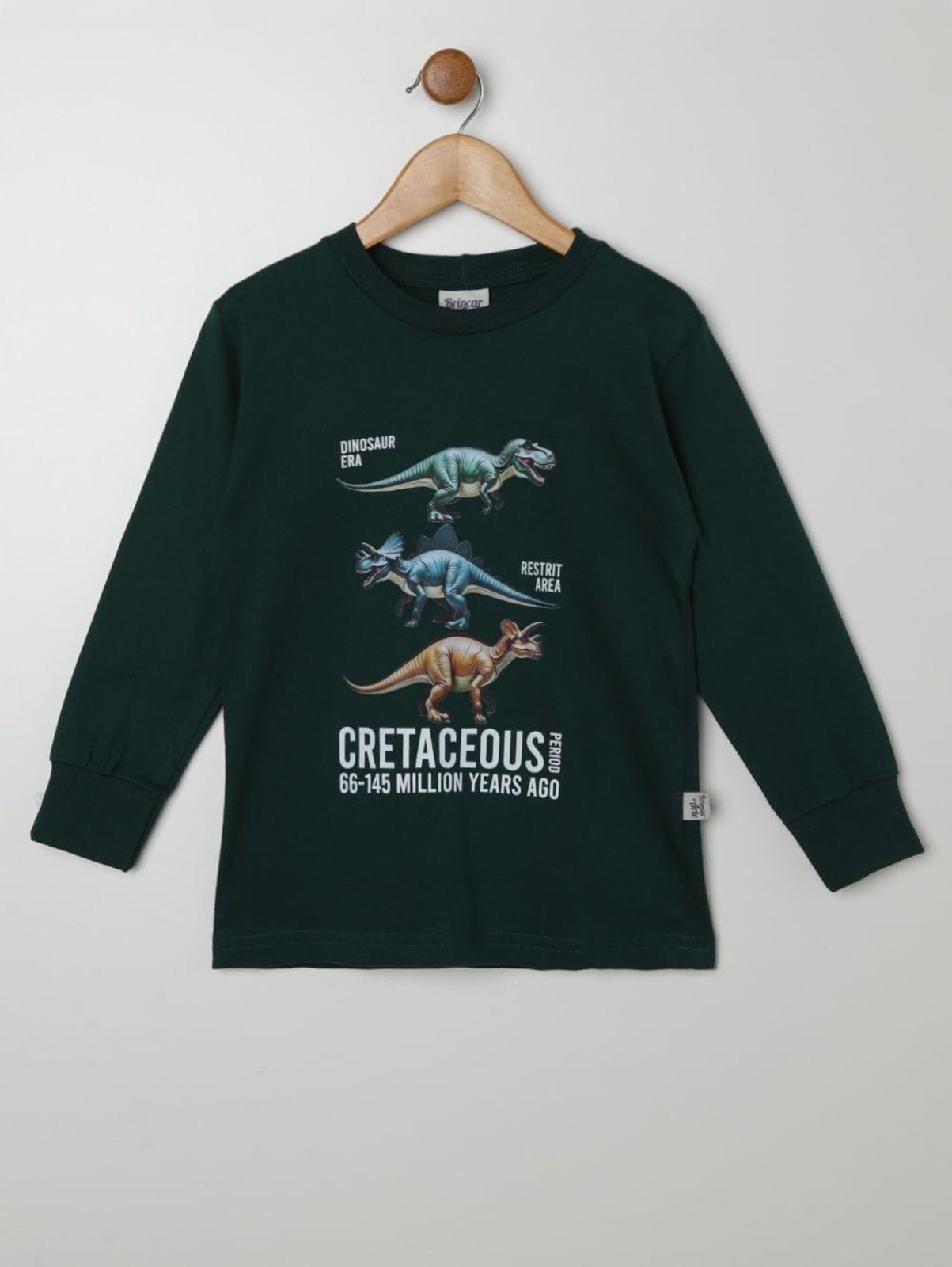 Infantil - Camiseta Manga Longa Para Menino - VERDE