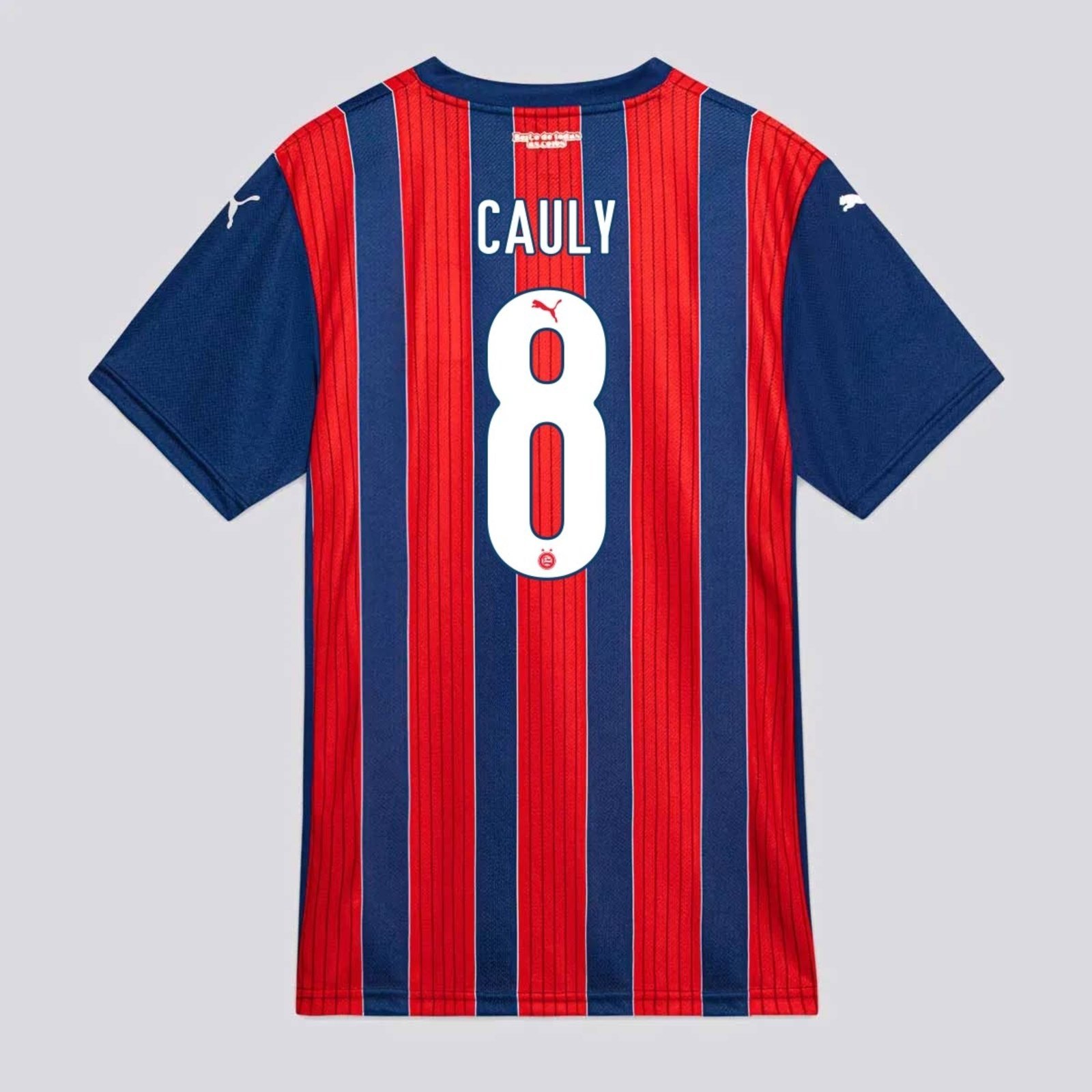 Camisa Puma Bahia II 2025 8 Cauly