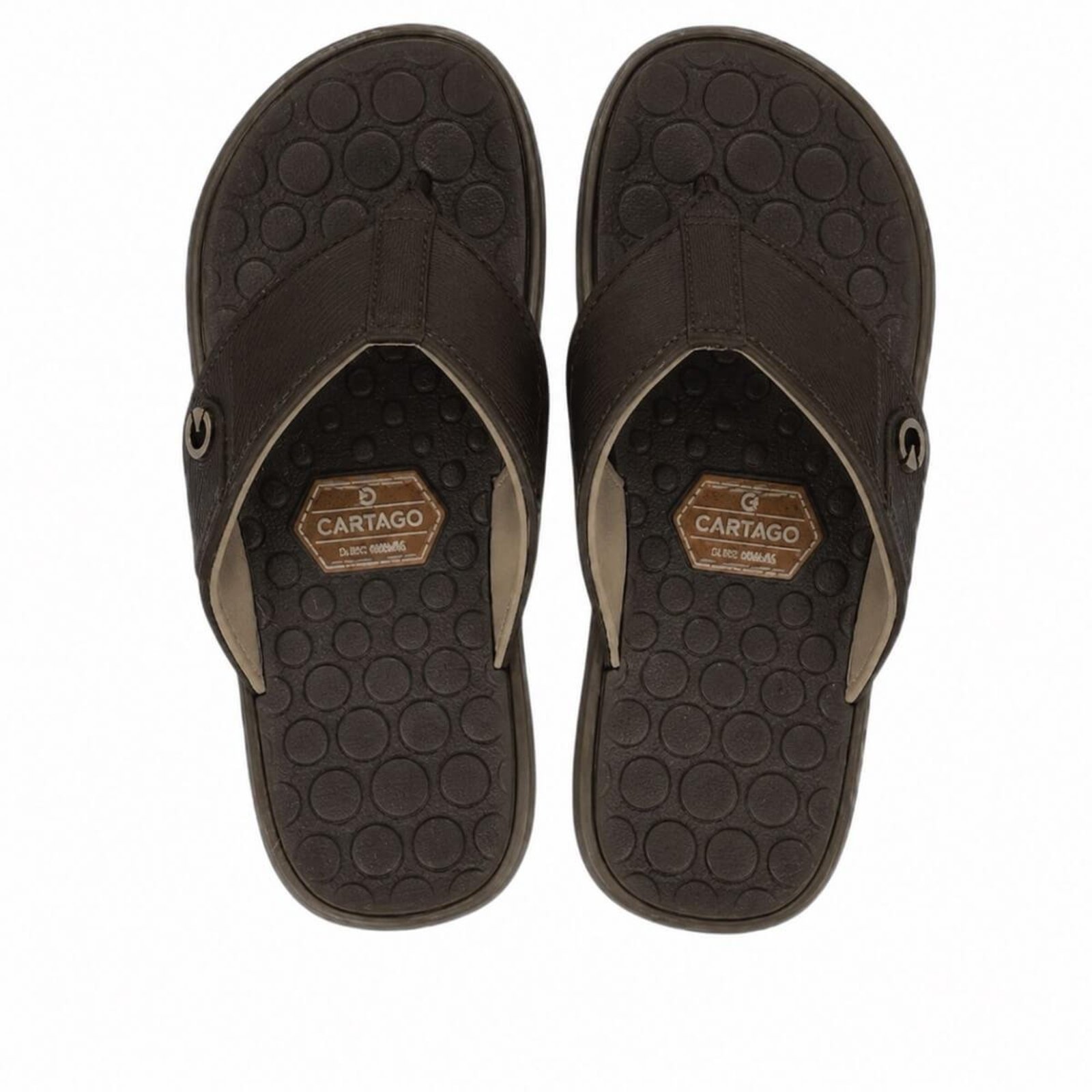 Chinelo Masculino Cartago Veneto 12618 Marrom