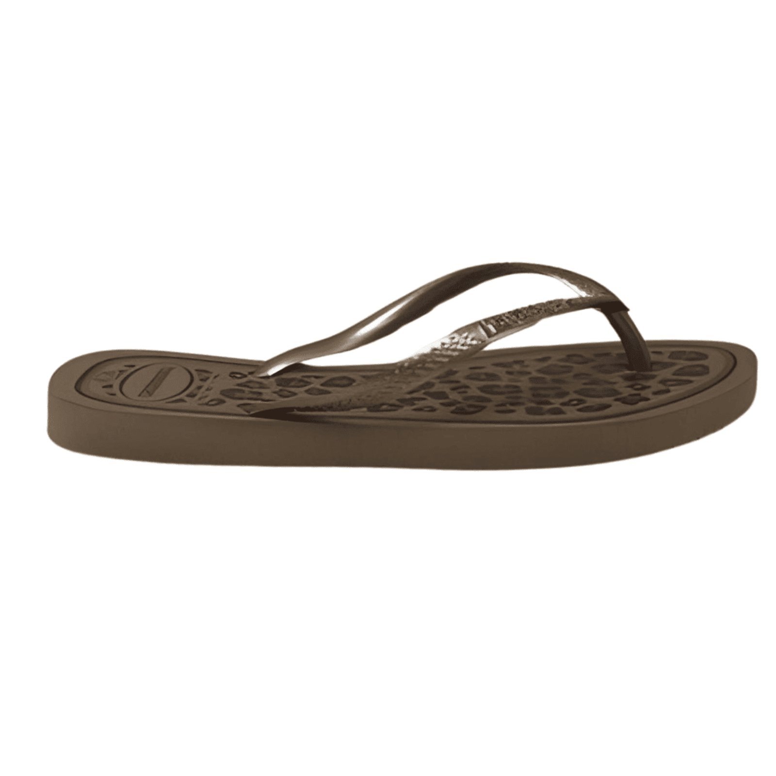 Vista 3 Chinelo Havaianas Feminino Slim Animal café Havaianas café
