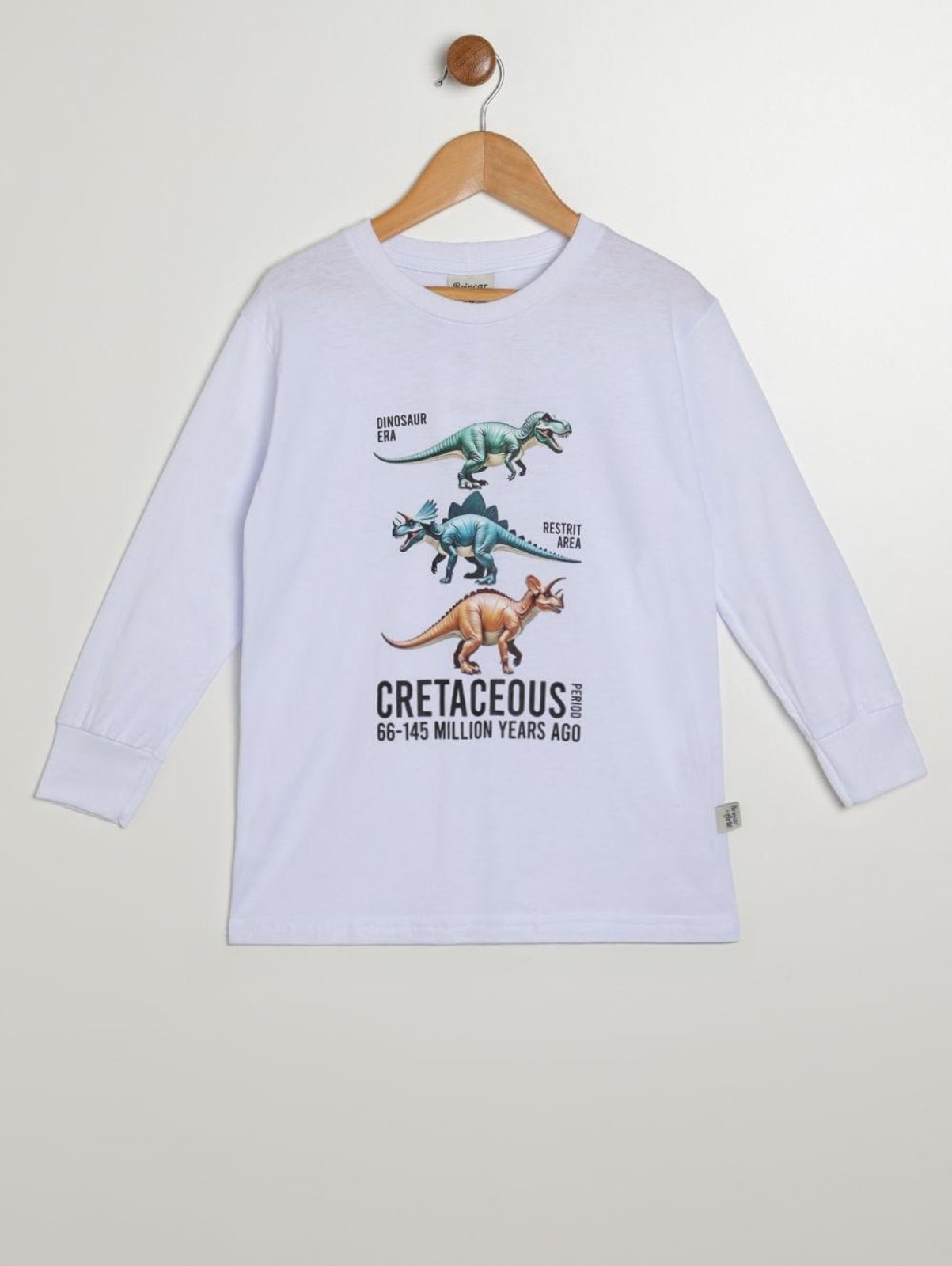 Infantil - Camiseta Manga Longa Para Menino - BRANCO