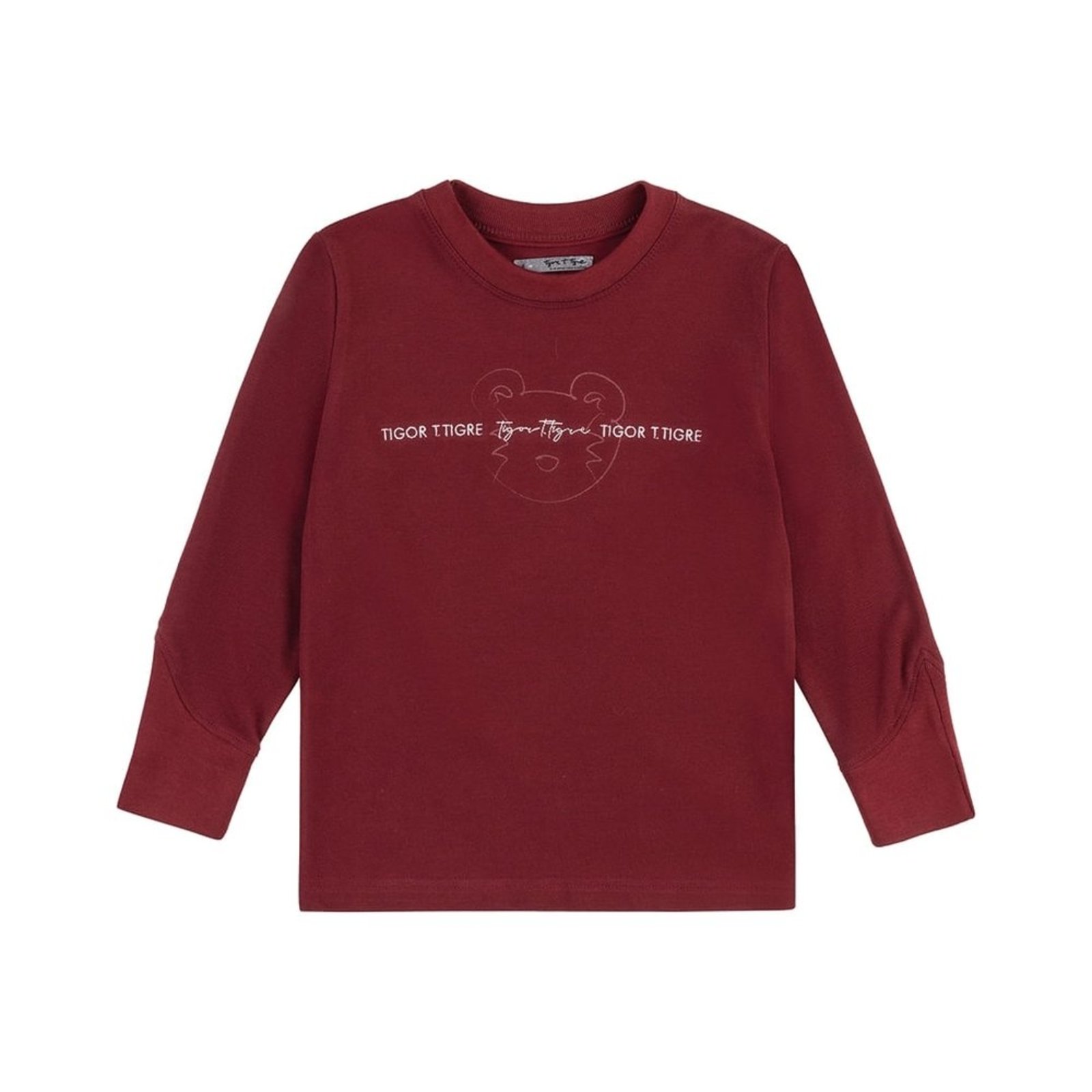 Infantil - Camiseta Manga Longa Menino Tigor T. Tigre