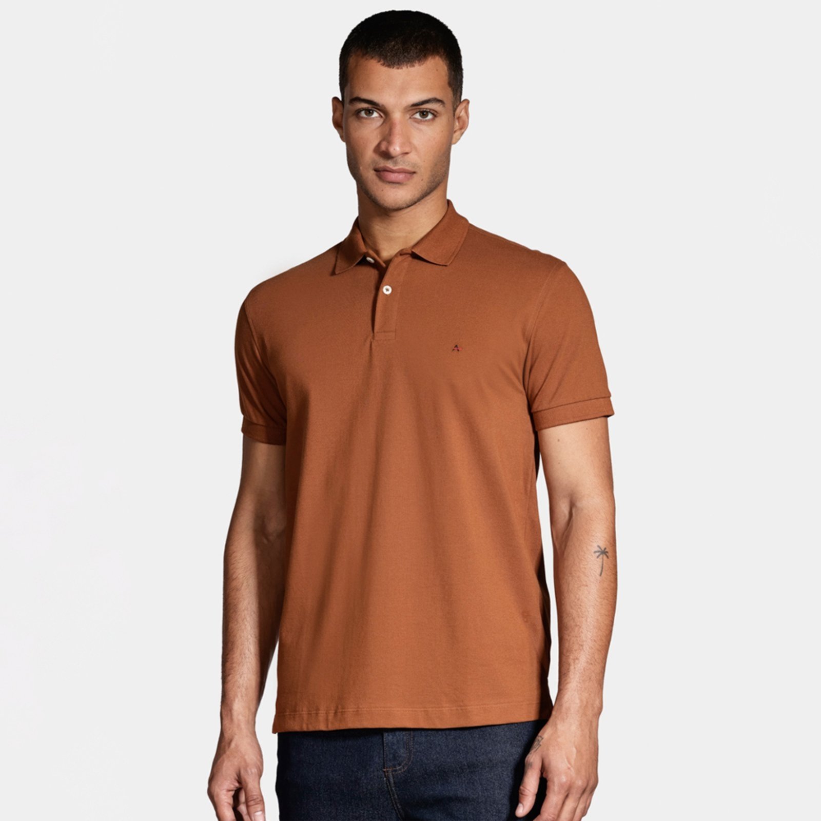 Camisa Polo Aramis Basic Piquet Ou25 Marrom Masculino