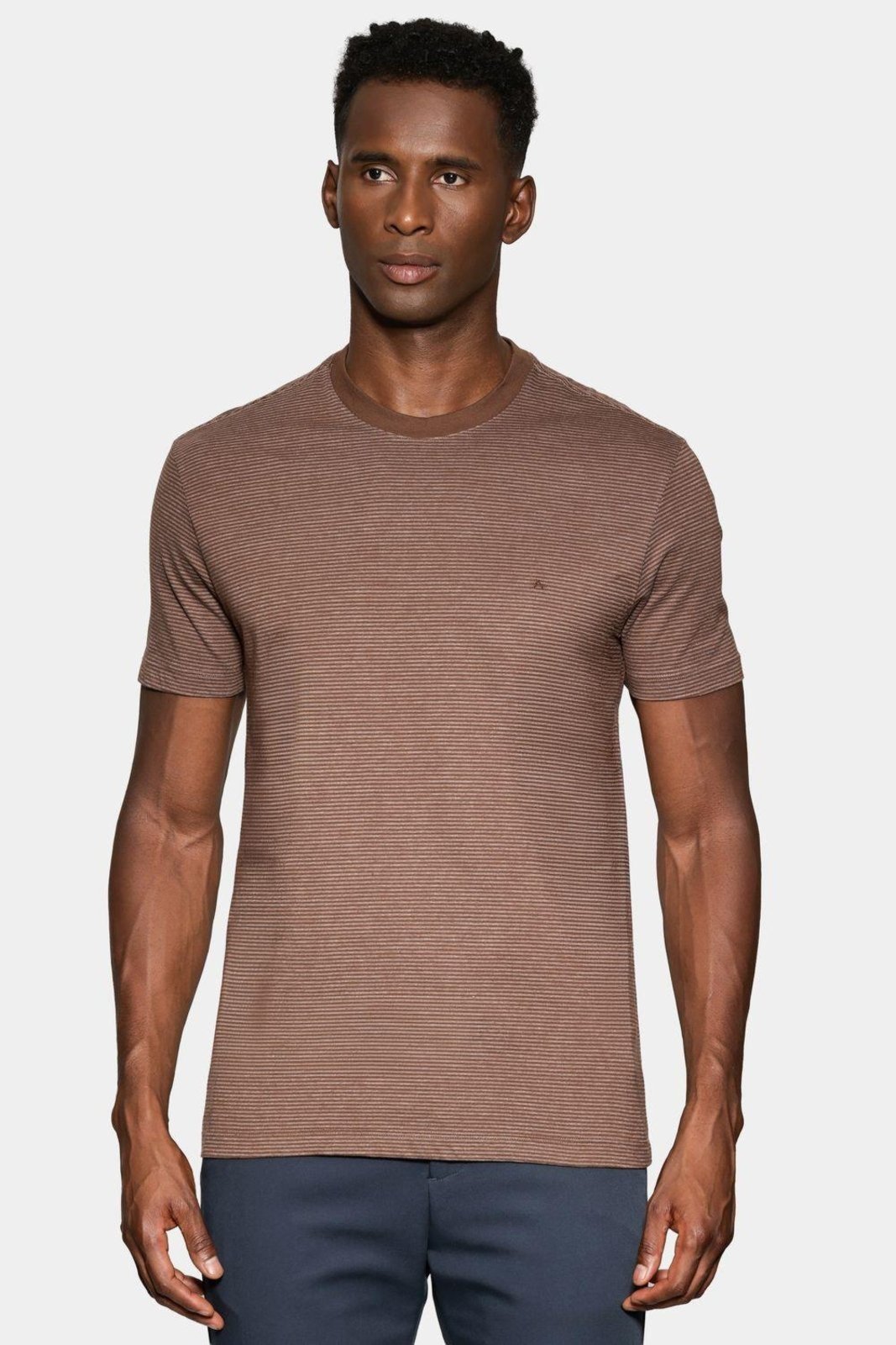 Camiseta Aramis Manga Curta Básica Listra