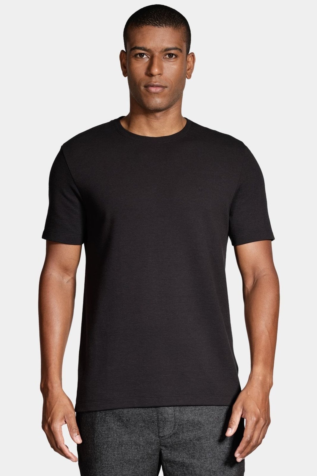 Camiseta Aramis Aramis Basica Com Textura Ottoman Preto