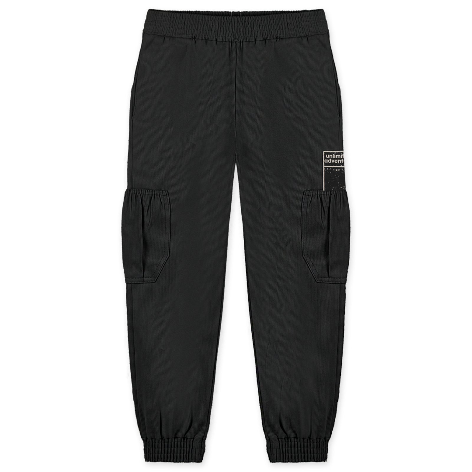 Infantil – Calça Masculina Tigor T. Tigre
