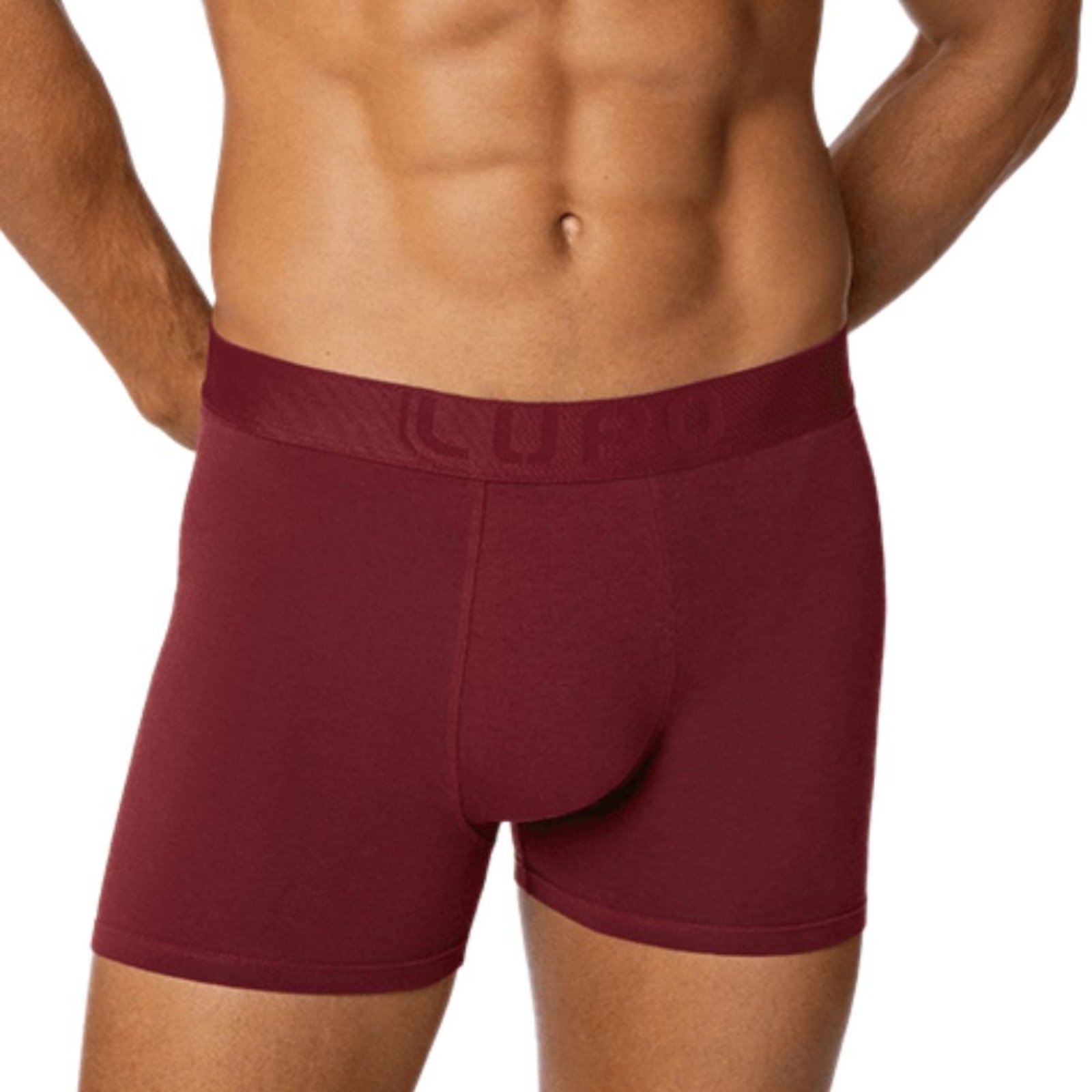 Cueca Lupo Boxer Algodão com Elastano 784-069