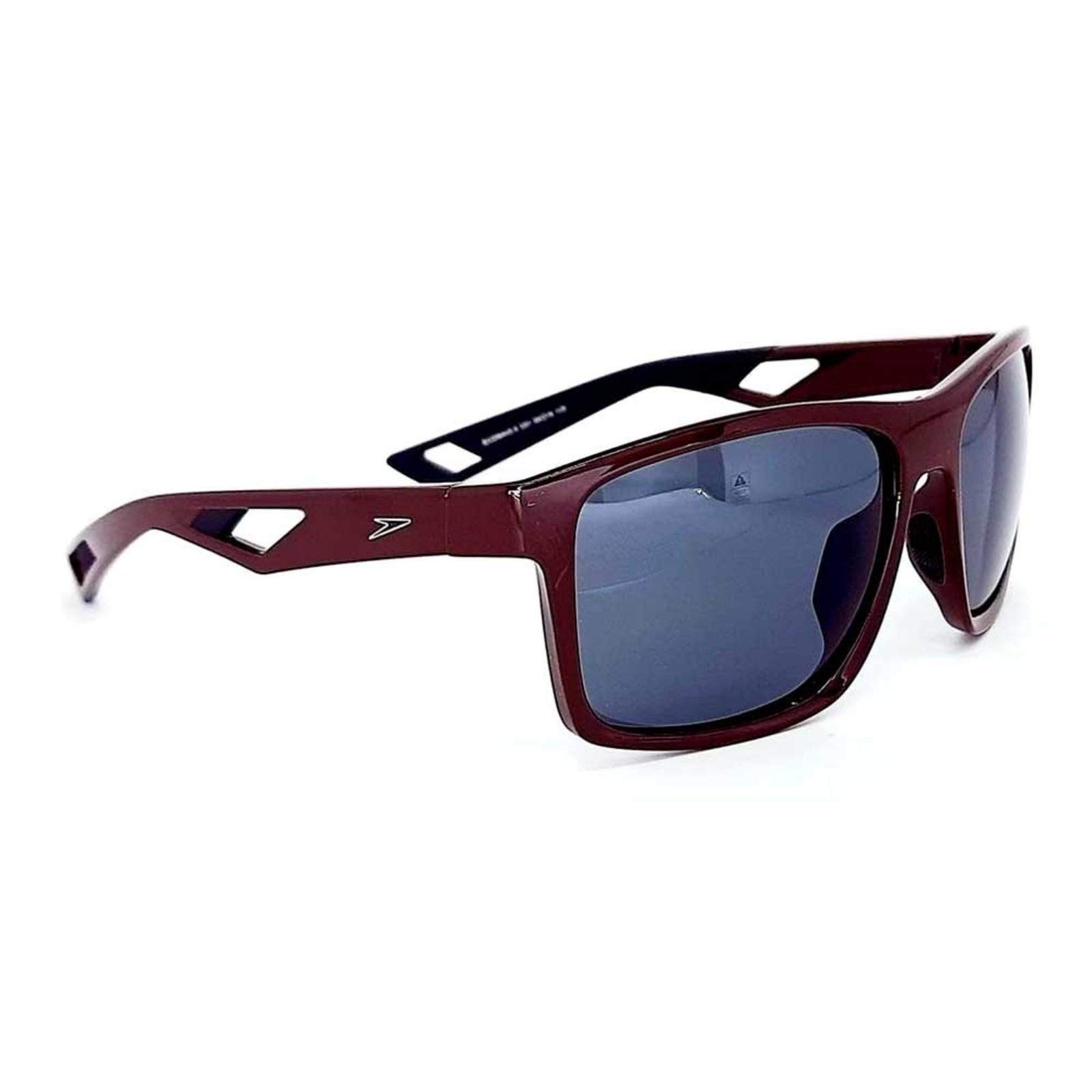 Oculos Solar Speedo Ecowave 9 C01