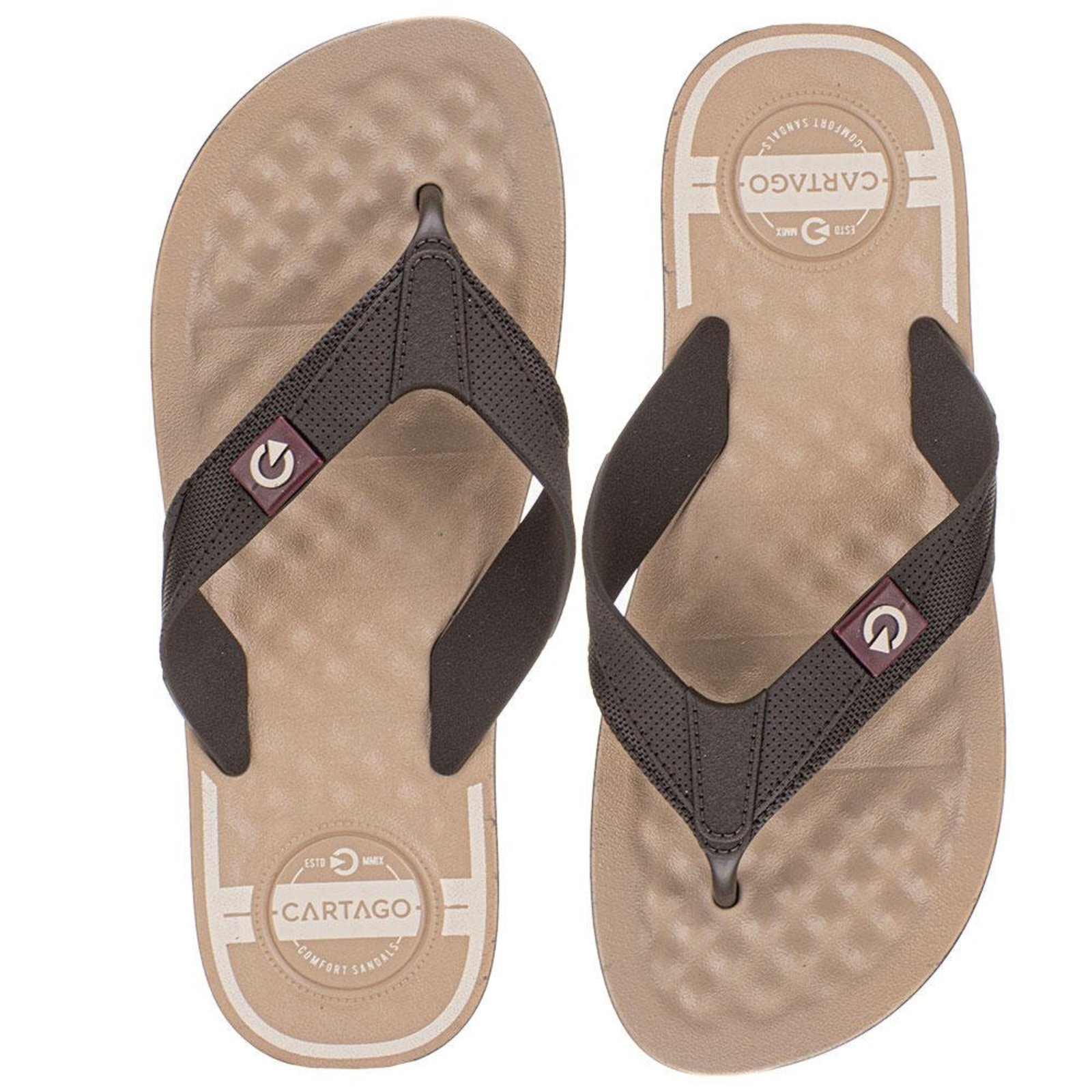 Chinelo Masculino Arizona Cartago 12212 B3292212 Bege