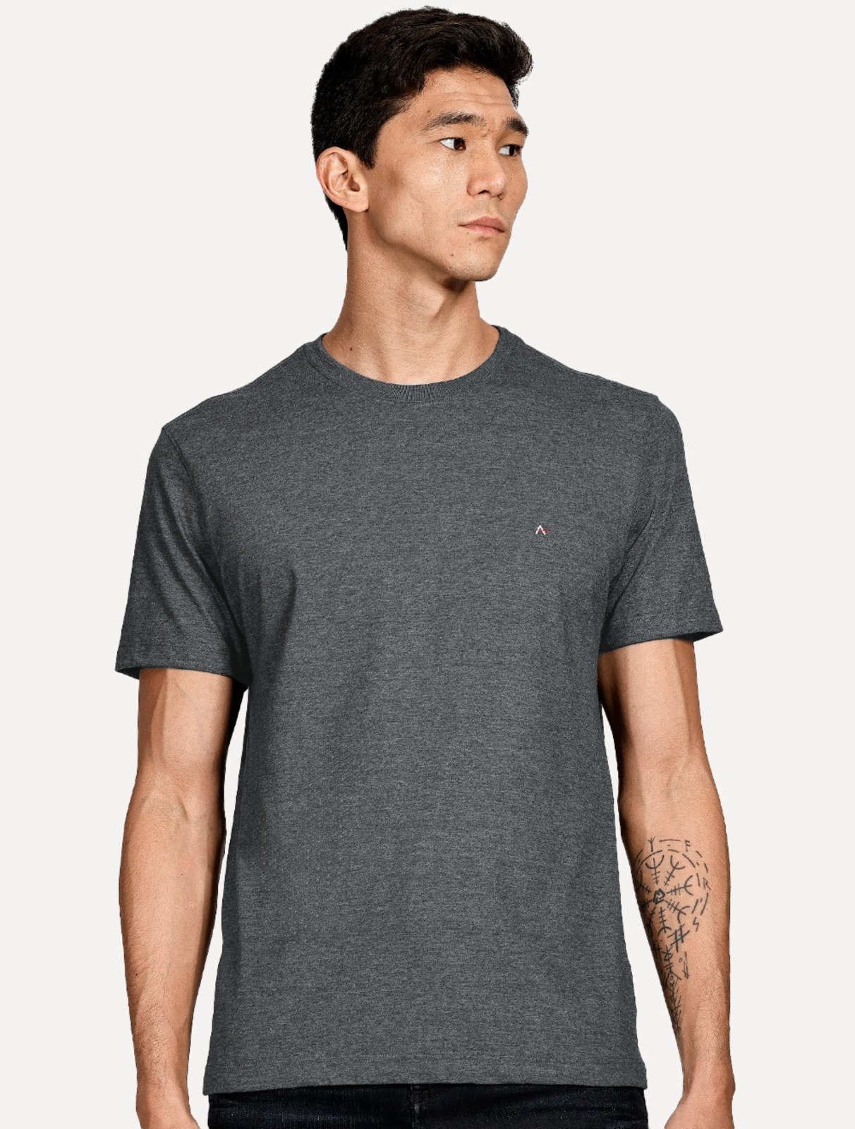 Camiseta Aramis Masculina Basic Light Logo Lisa Grafite