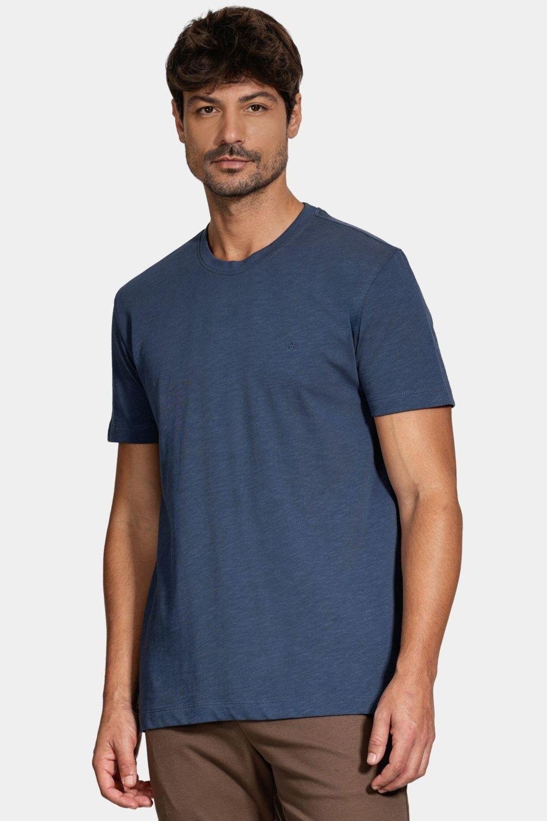 Camiseta Aramis Manga Curta Algodão Flamê