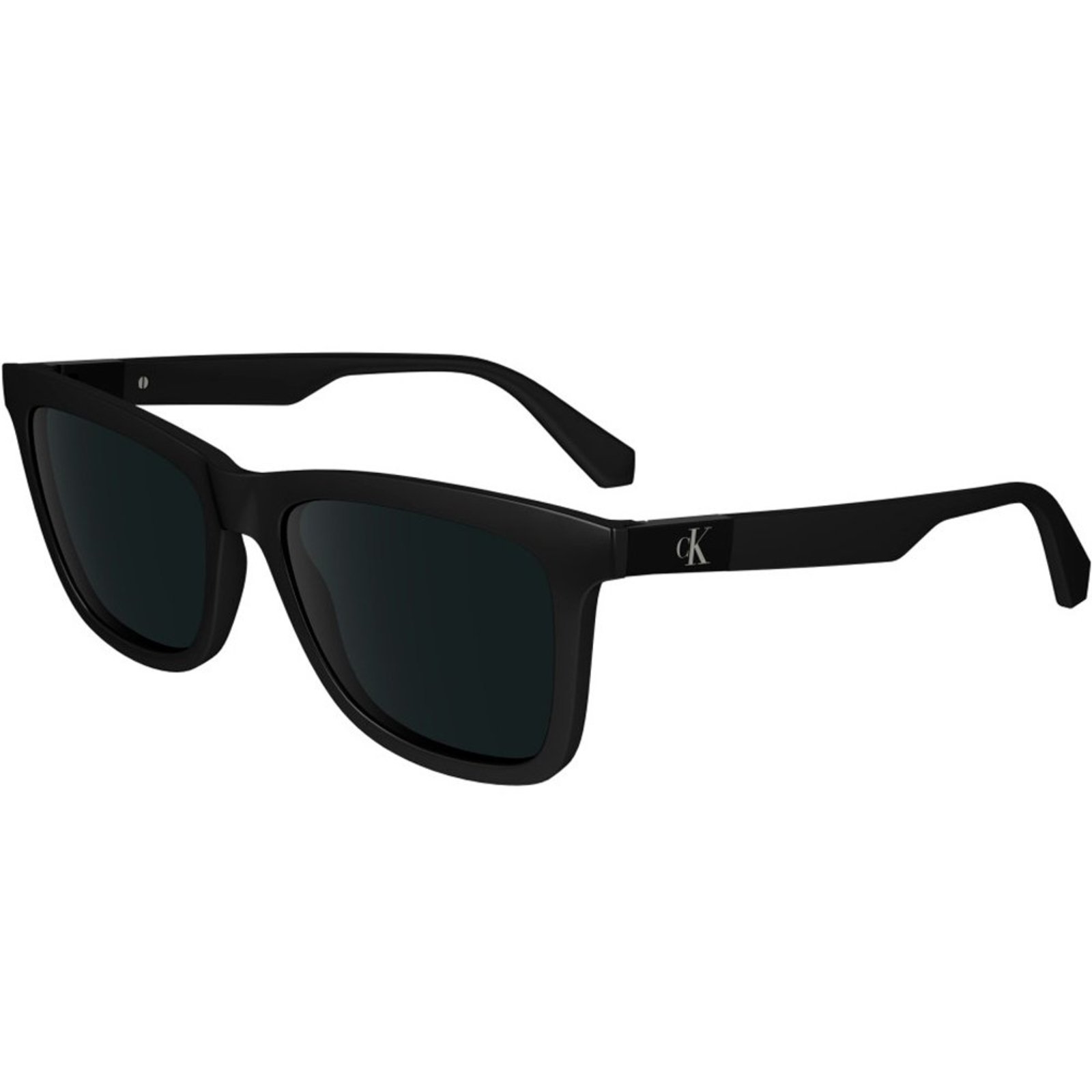 Óculos de Sol Calvin Klein Jeans 24601S 001 Preto Masculino