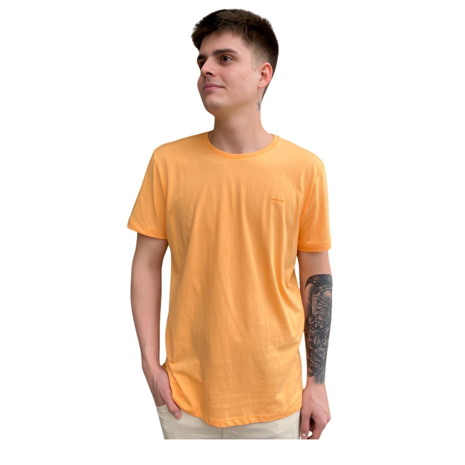 Camiseta Masculina Básica Colcci Coloridas