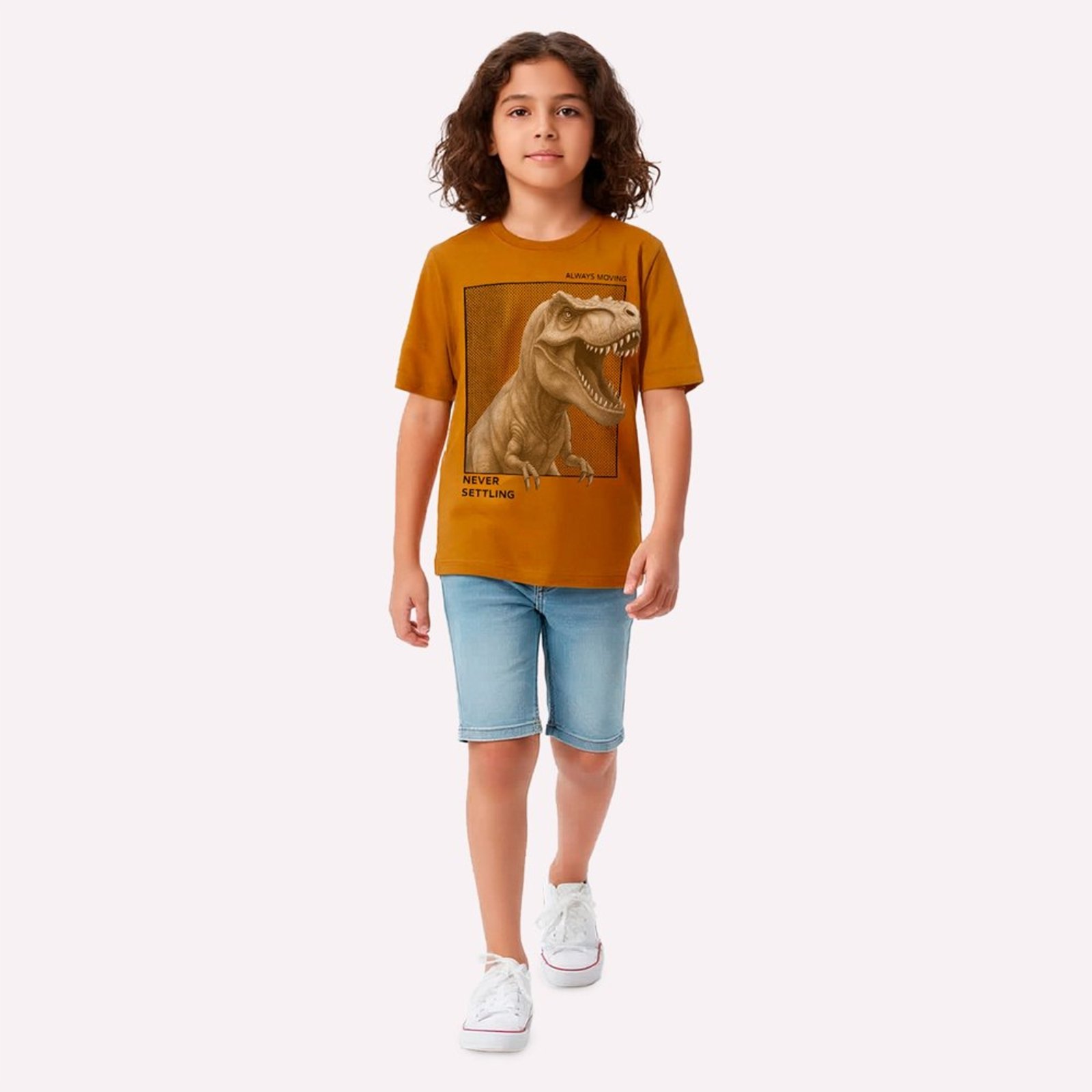 Infantil - Camiseta Menino Dinossauro Kyly