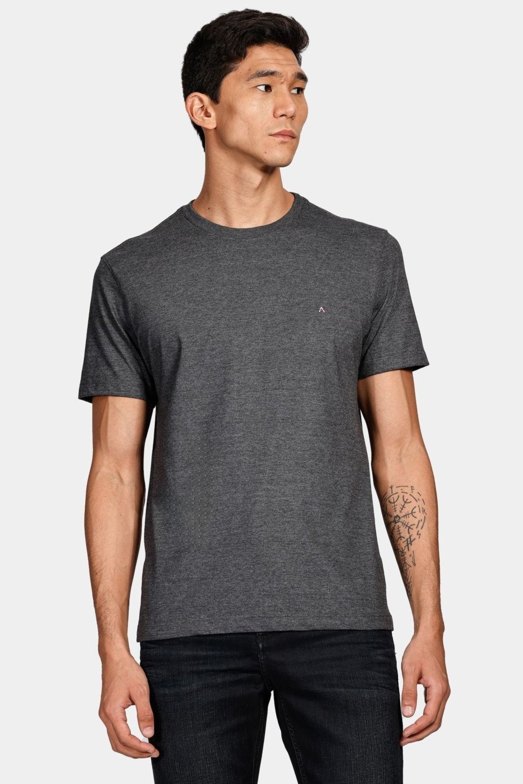 Camiseta Aramis Básica Grafite Mescla - G
