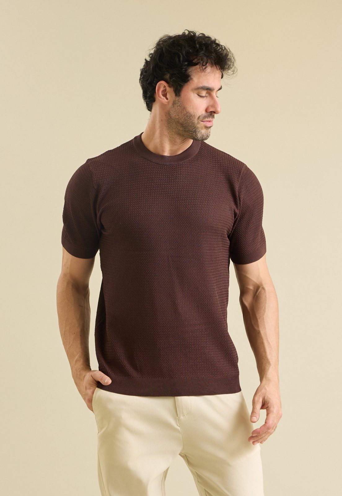 Camiseta Masculina Tricot Casual com Viscose Dialogo Marrom