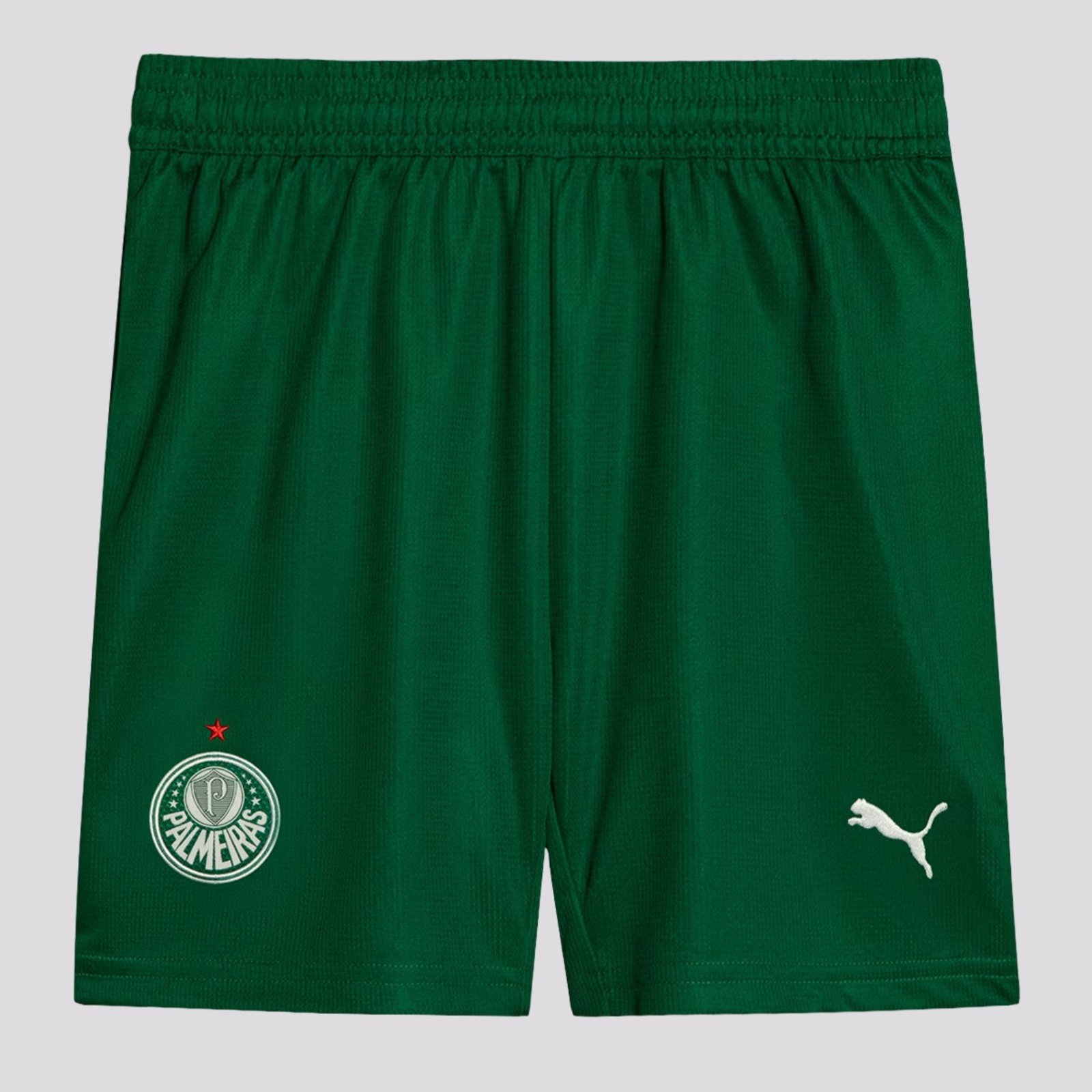 Calção Puma Palmeiras II 2025 Juvenil