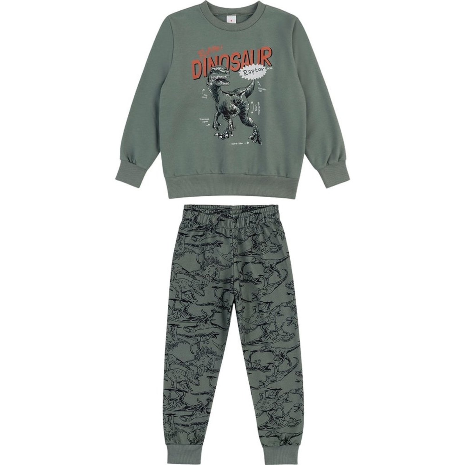 Infantil - Conjunto Longo Moletom Estampado Menino Marisol