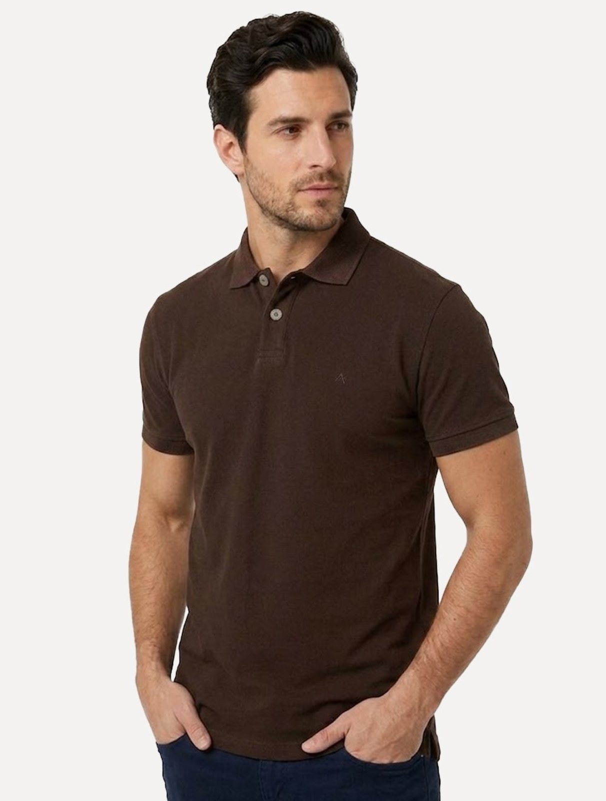 Polo Aramis Masculina Basic Piquet Mono Marrom Café