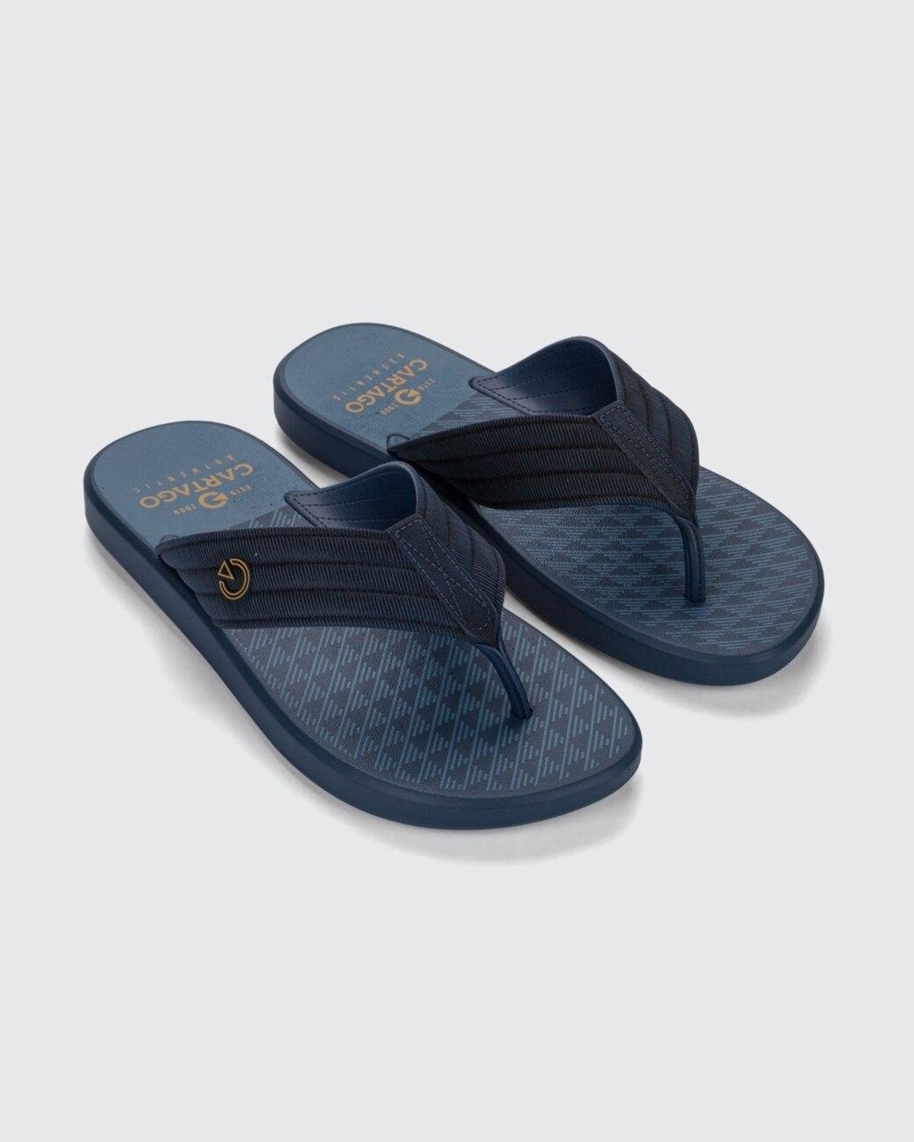 Chinelo Masculino Cartago Montreal Azul