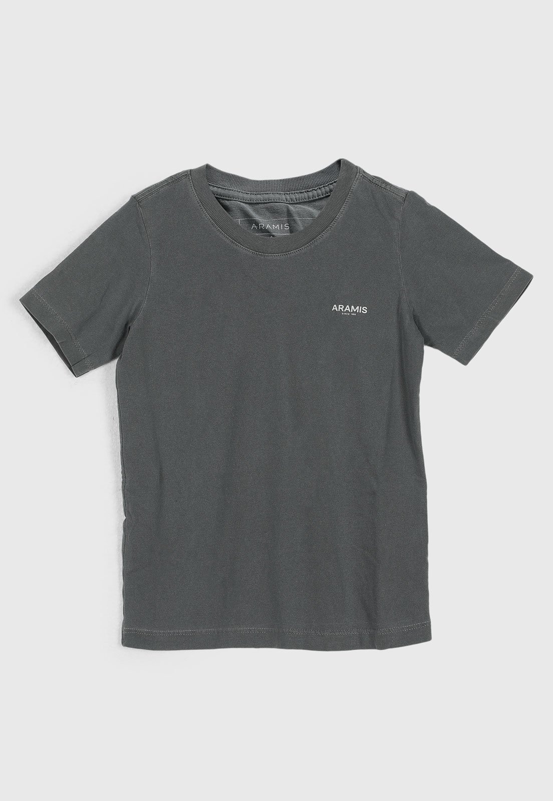 Infantil - Camiseta Aramis Logo Cinza