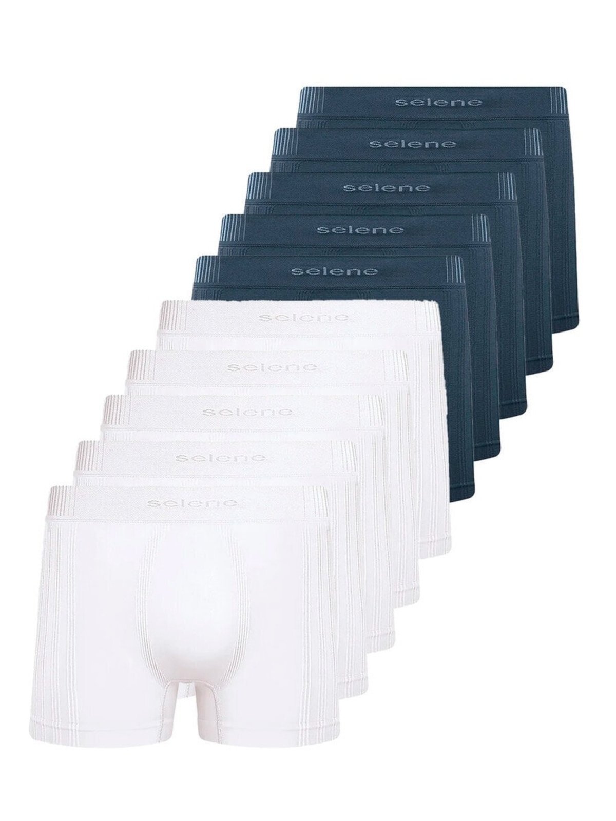 Kit com 10 Cuecas Boxer Selene 11070-002/003/440 Branco