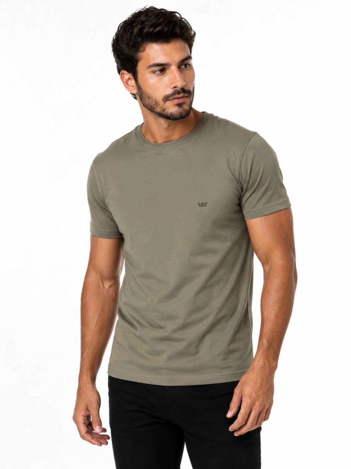 CAMISETA CLUB POLO COLLECTION CINZA