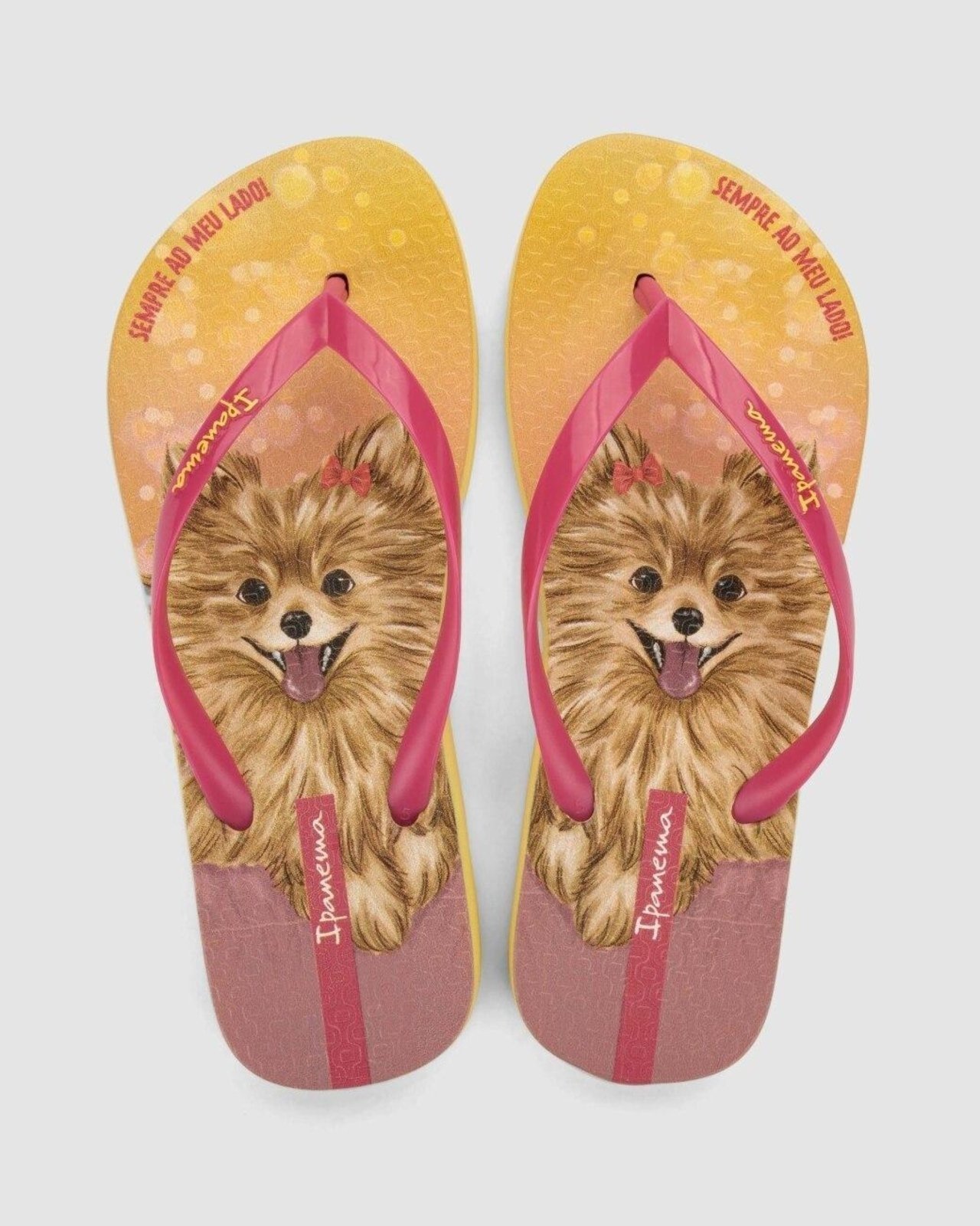 Chinelo Ipanema Pets Pop Amarelo