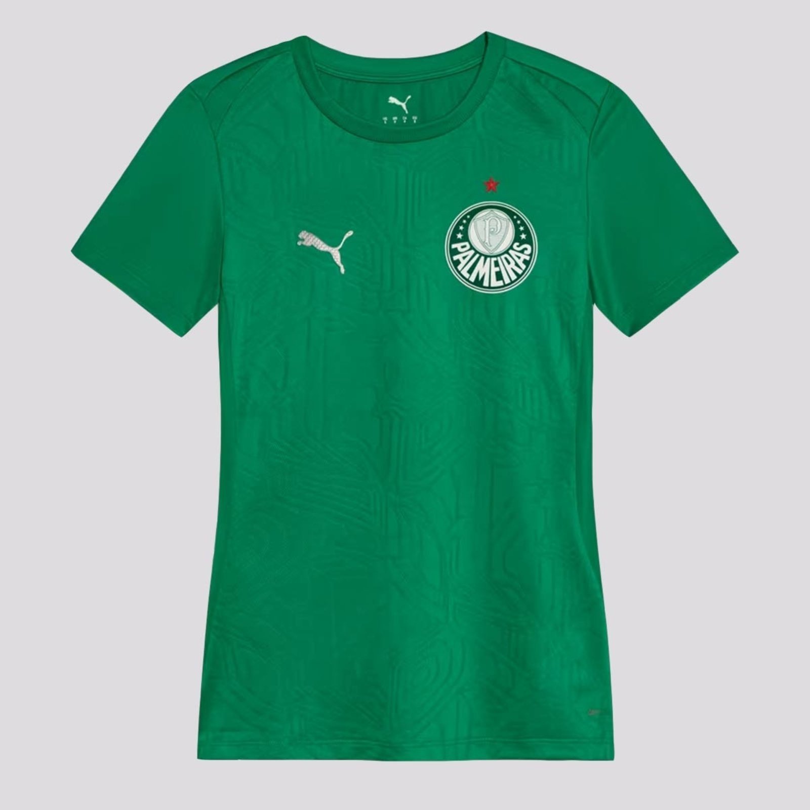 Camisa Puma Palmeiras Treino 2025 Feminina