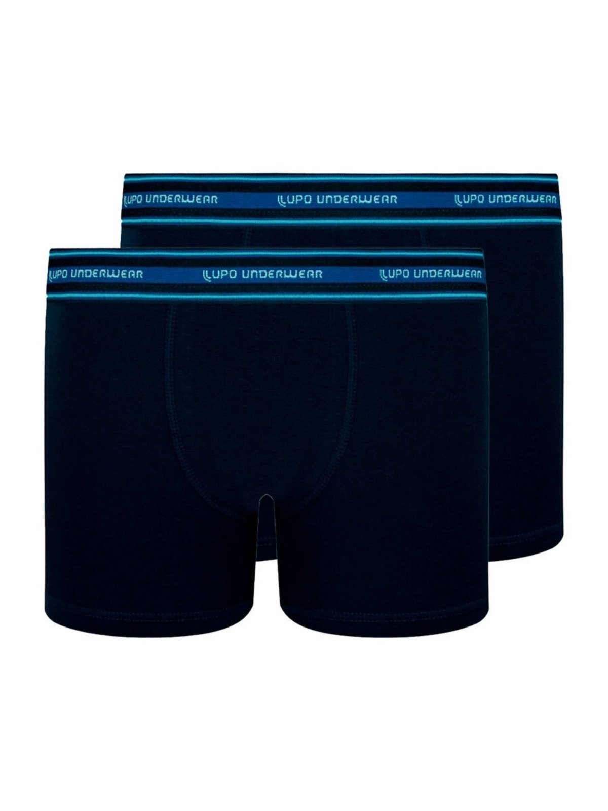 Kit com 2 Cuecas Boxer Lupinho 141-003