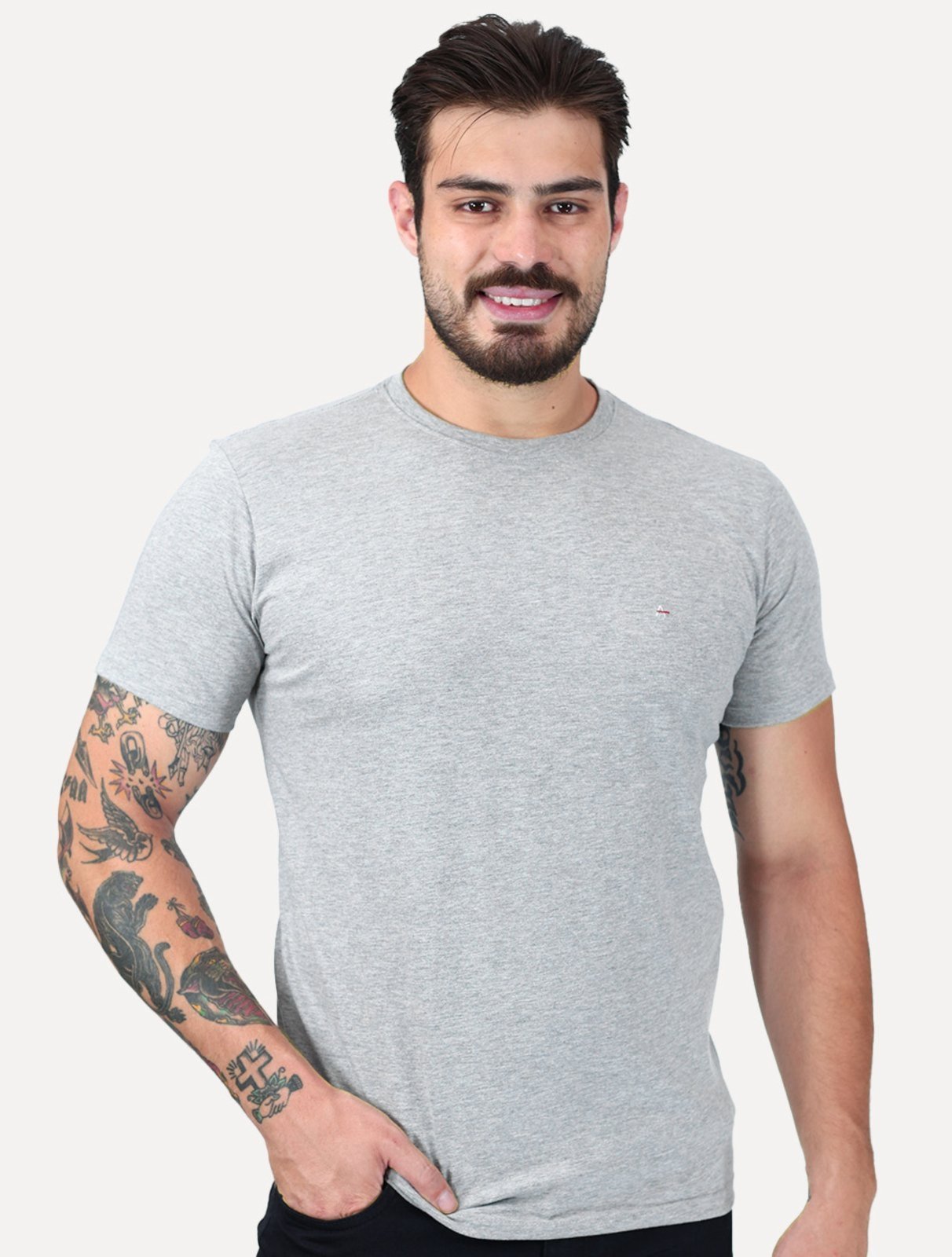 Camiseta Aramis Masculina Basic Lisa Light Logo Cinza Mescla