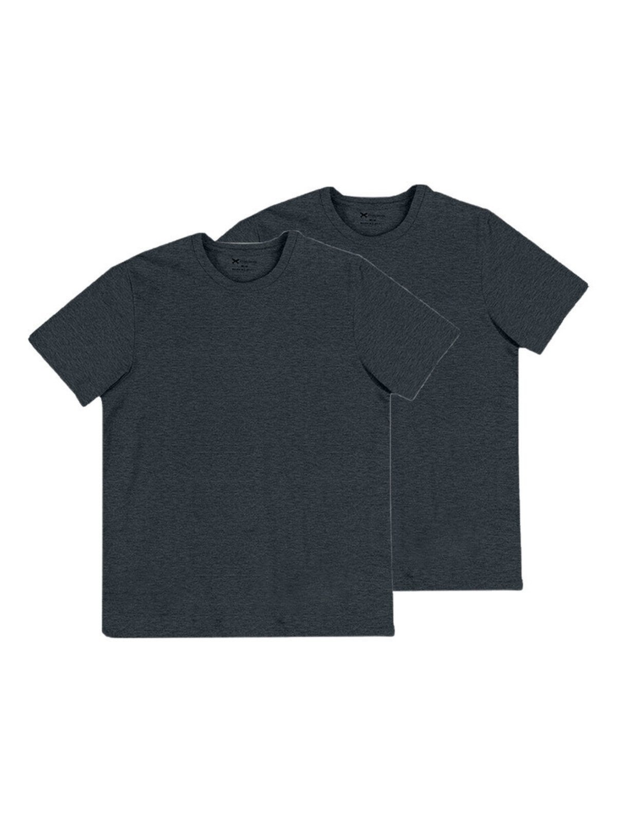 Kit com 2 Camisetas Masculina Hering 201 Cinza