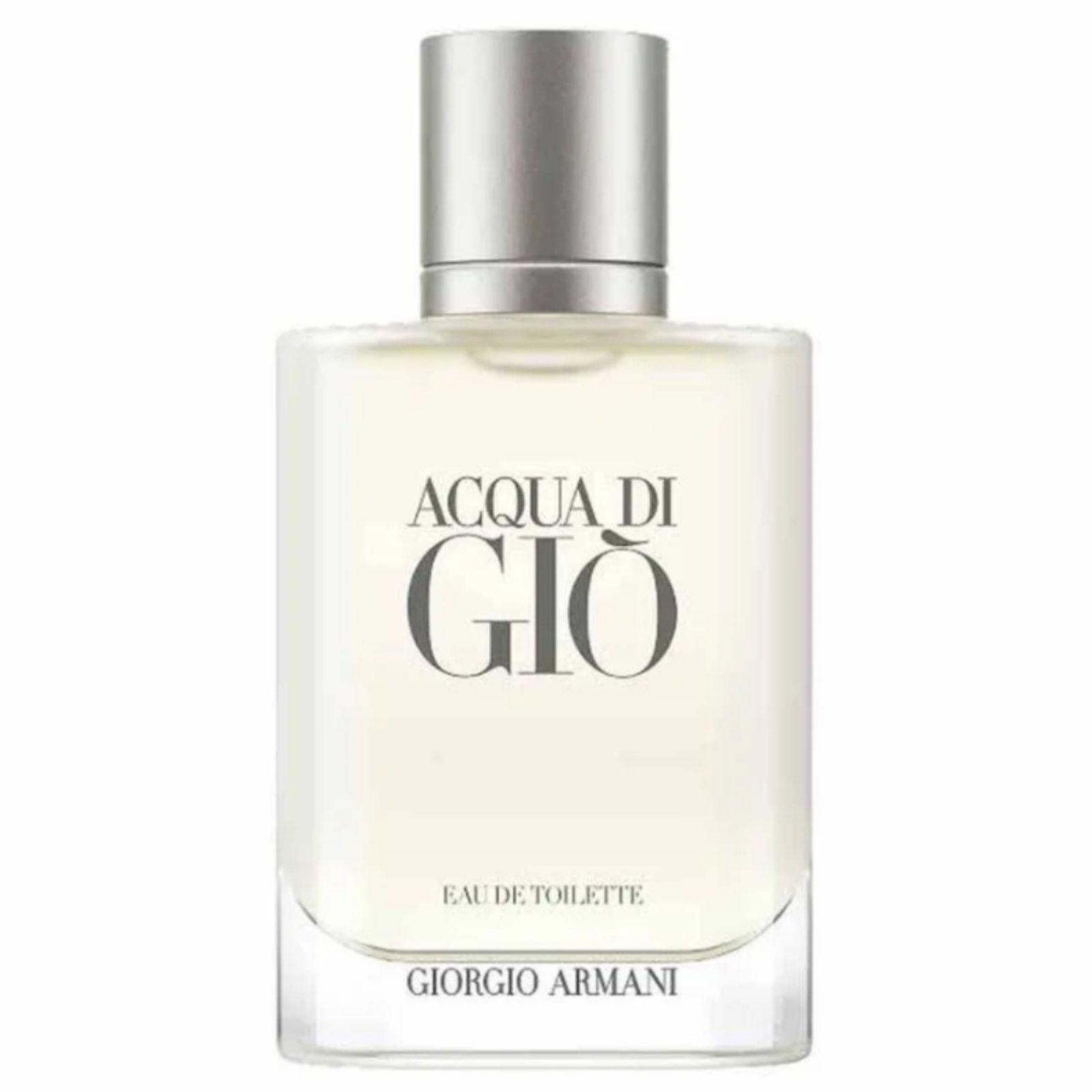 Acqua Di Gio Masculino Eau de Toilette 100 ml