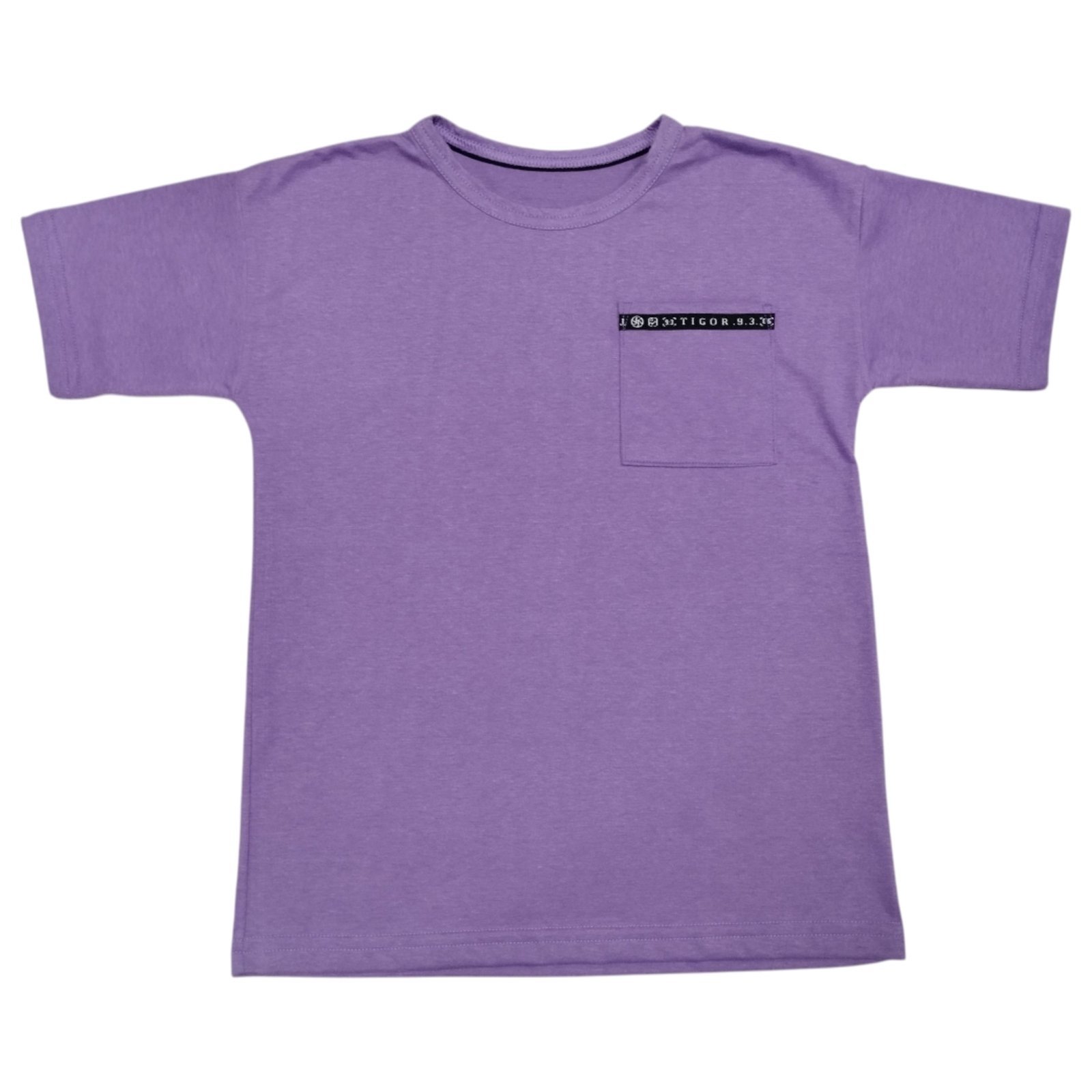 Infantil - Camiseta Manga Curta Menino Tigor T. Tigre