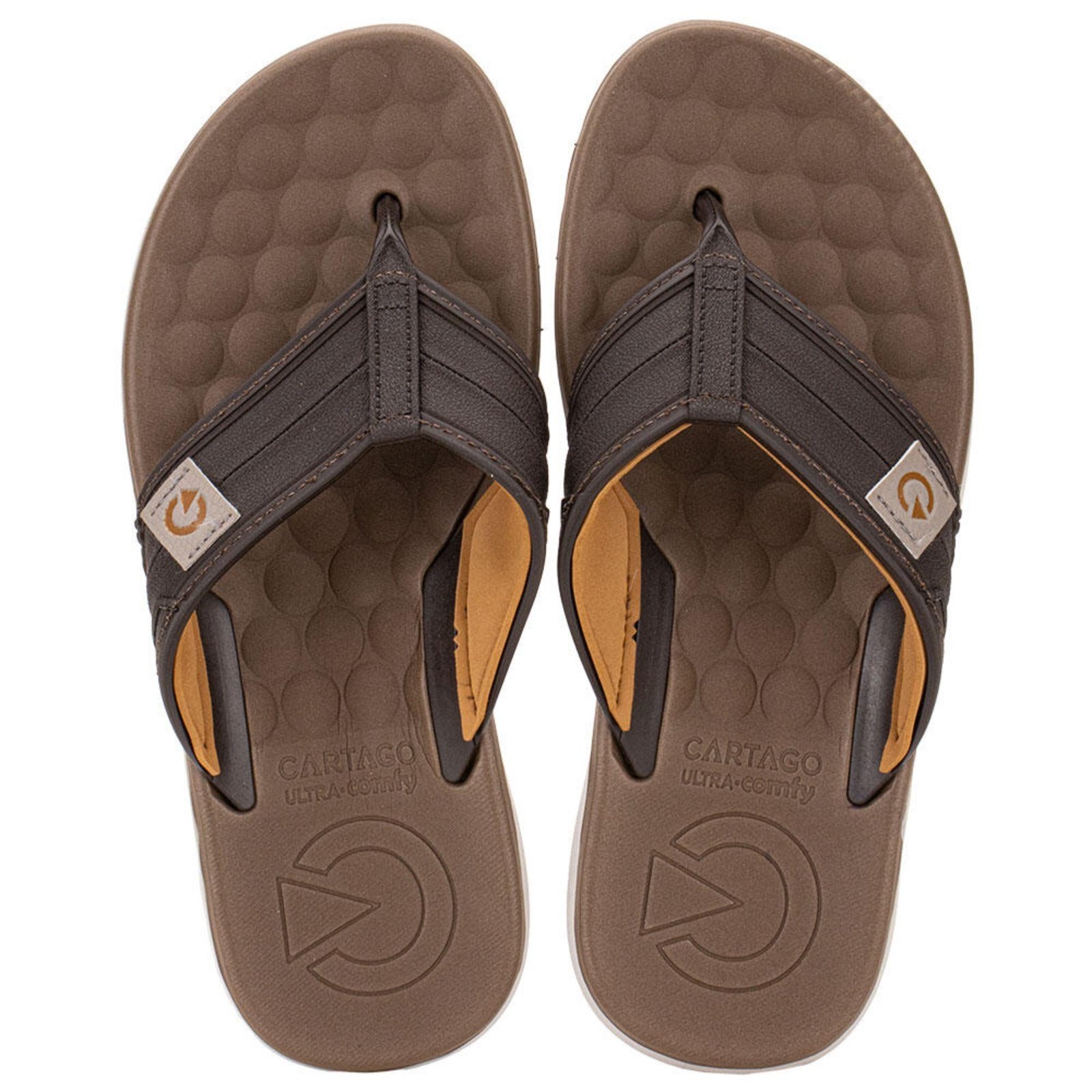 Chinelo Masculino Sintra Cartago 12482 A3292482 Café