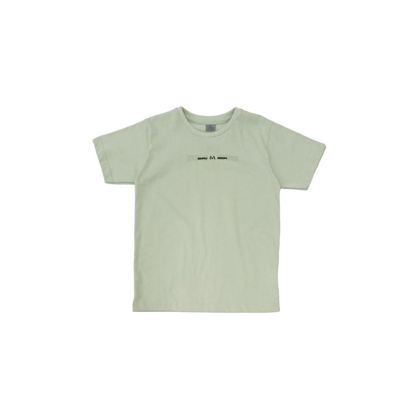 Infantil - Camiseta Manga Curta Masculina Tigor T. Tigre