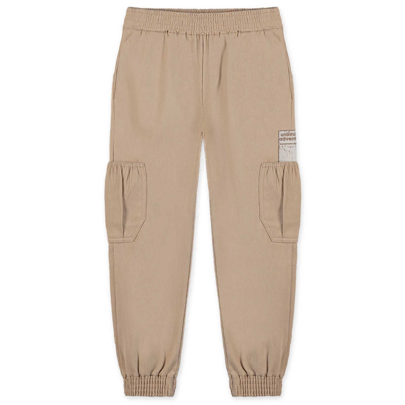 Infantil – Calça Masculina Tigor T. Tigre