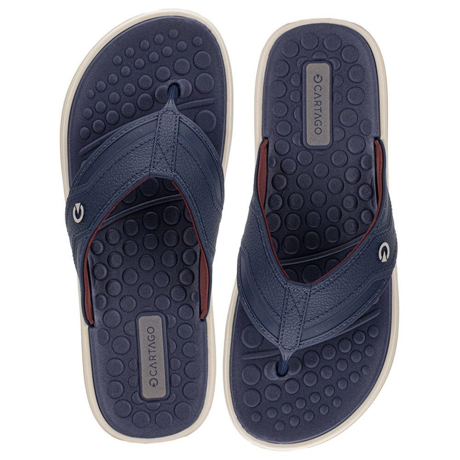 Chinelo Masculino Veneto Iii Cartago 12452 3292452 Azul Marinho