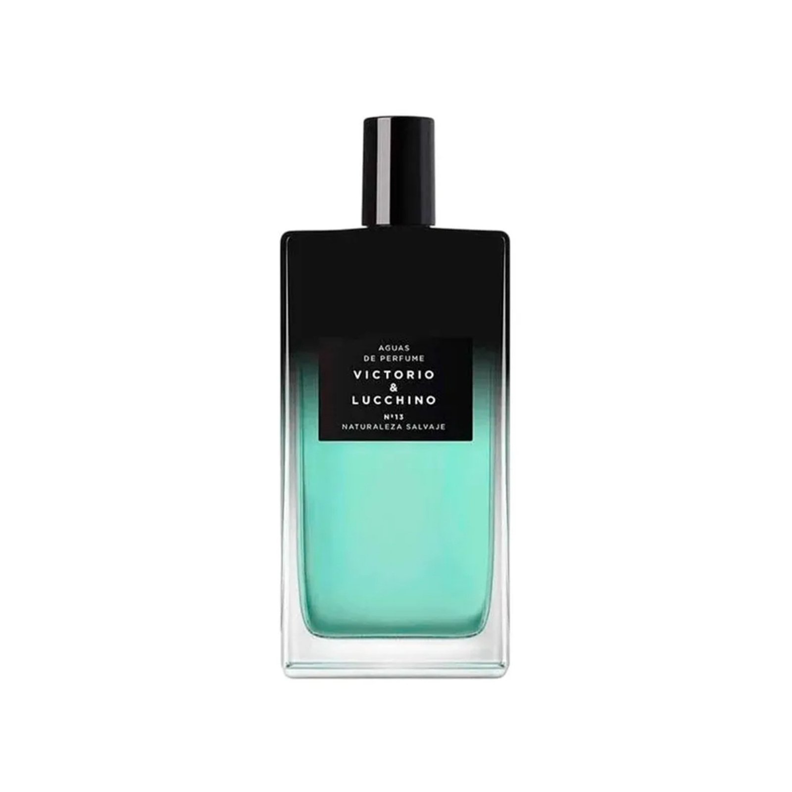 Perfume Masculino Águas de Perfume Naturaleza Salvaje Nº 13 de Victorio & Lucchino EDP 150ml