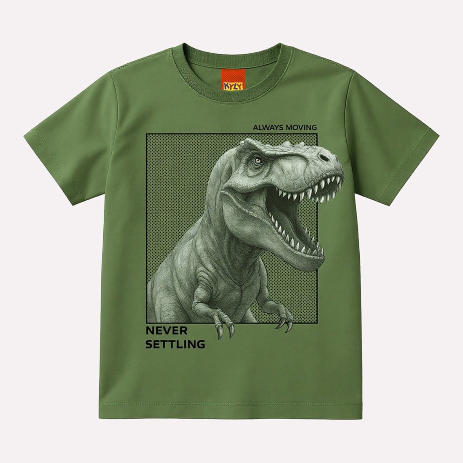 Infantil - Camiseta Menino Dinossauro Kyly
