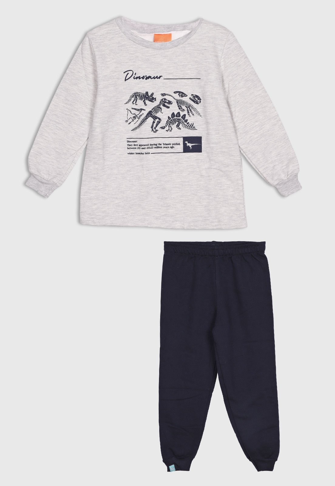 Infantil - Conjunto Kamylus Estampa Dinossauros Cinza