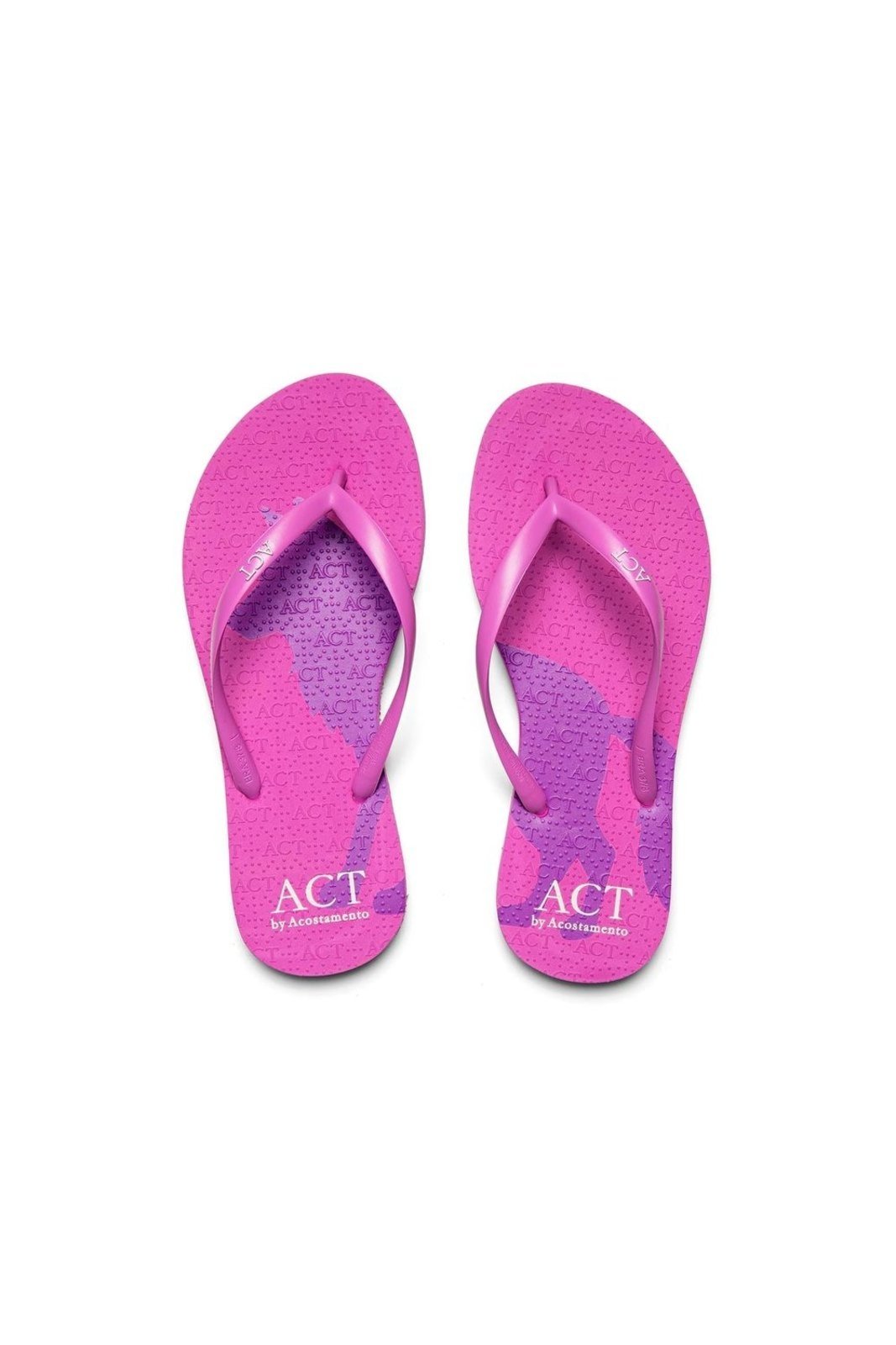 Chinelo Minimal Lobo ACT Feminino