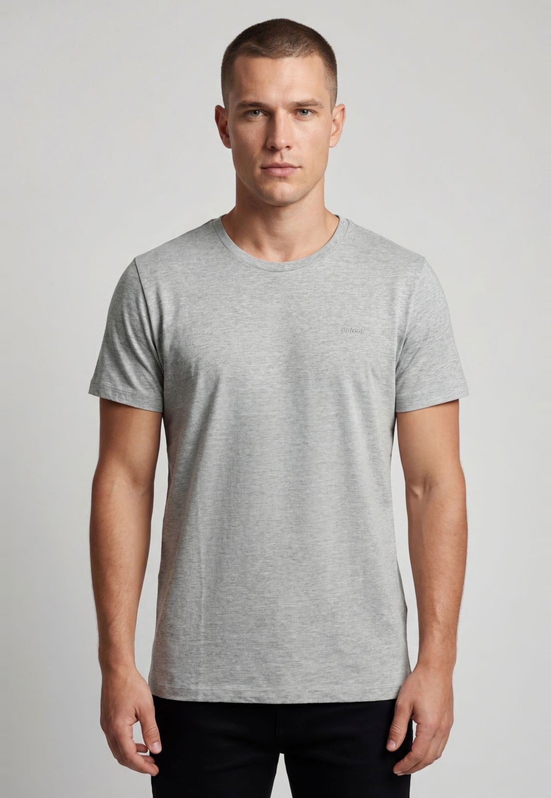 Camiseta Masculina Colcci Logo Bordado Cinza