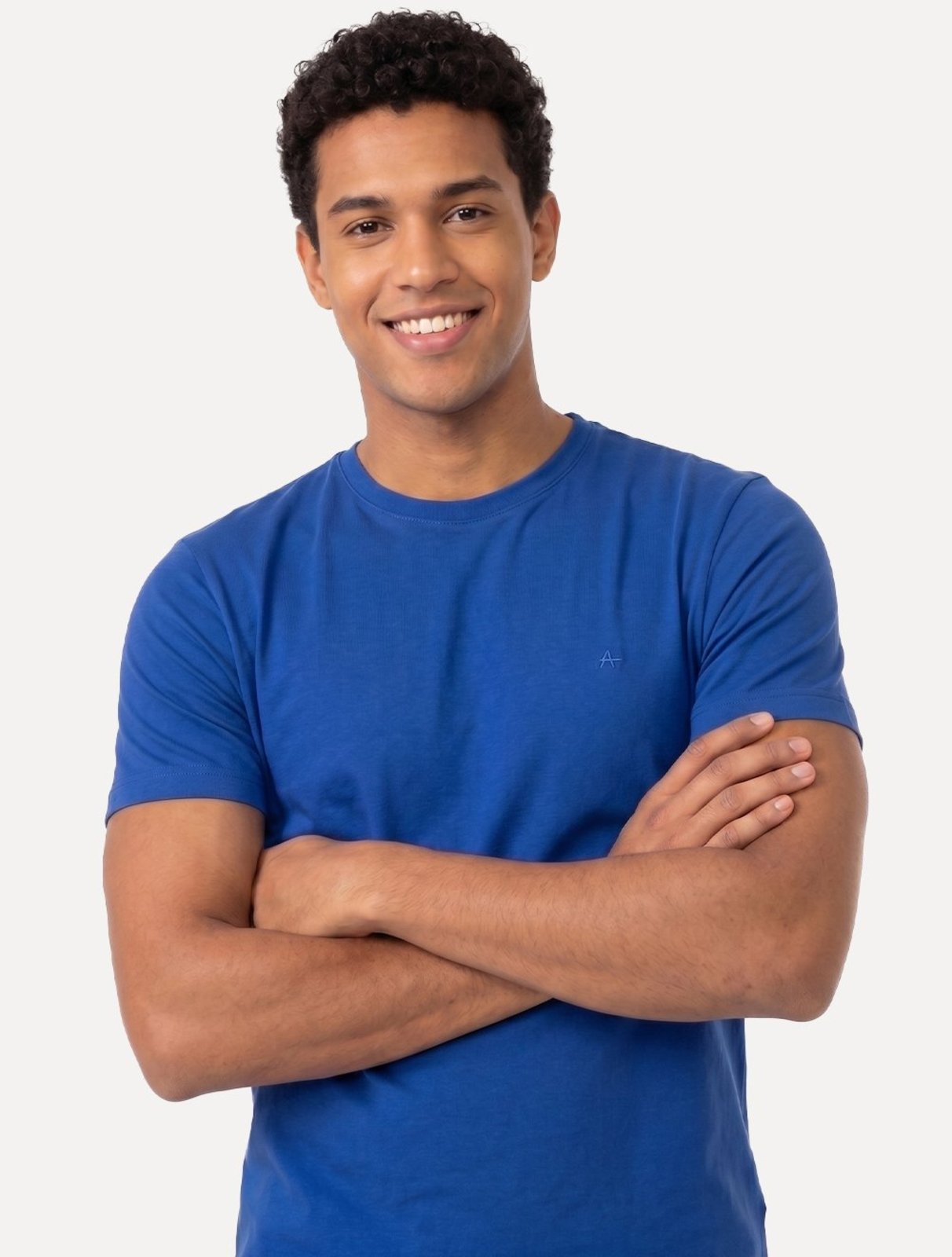 Camiseta Aramis Masculina Basic Lisa Mono Icon Azul