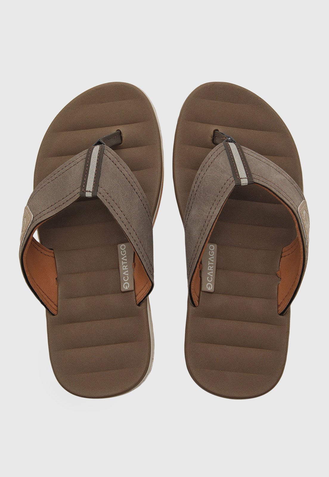 Chinelo Masculino Cartago Málaga Marrom