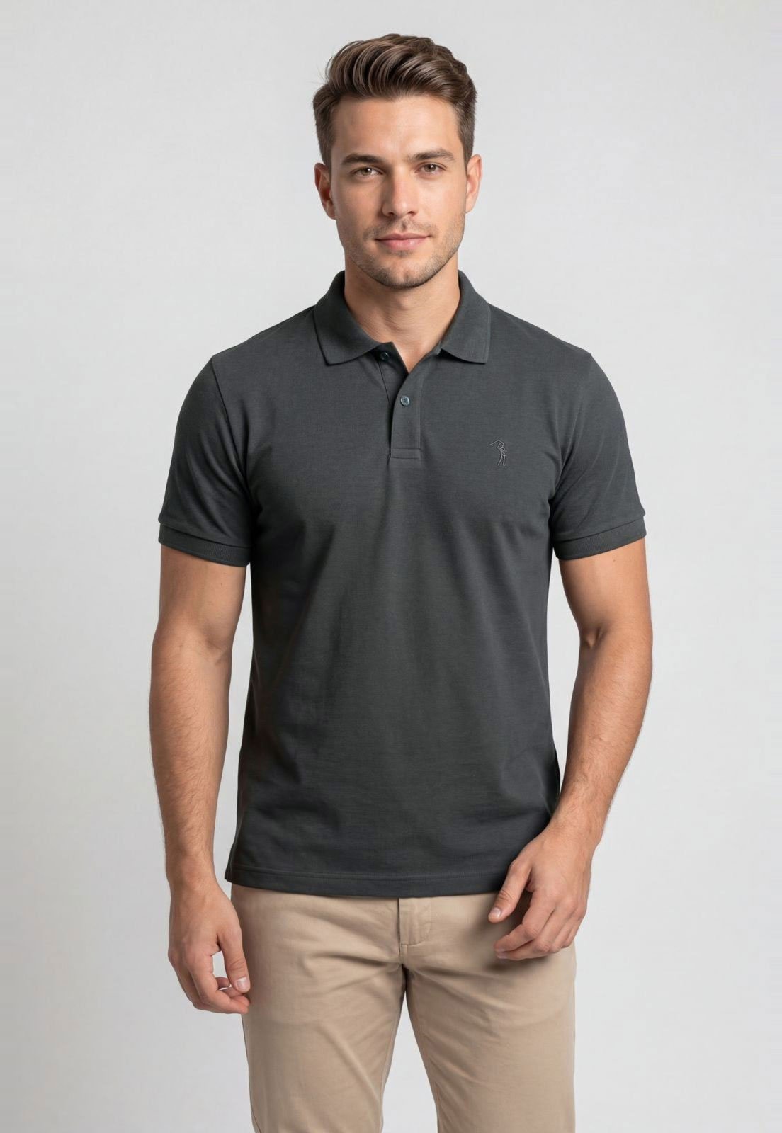 Polo Masculina Aleatory Clássica Cinza