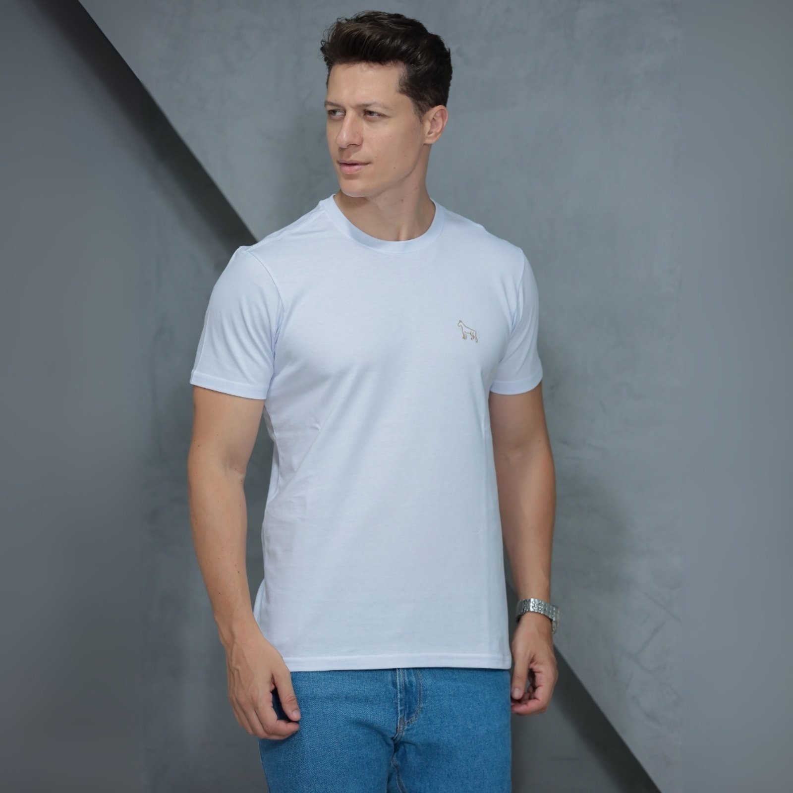 Camiseta Basica Masculino Revanche Foggia Estilo