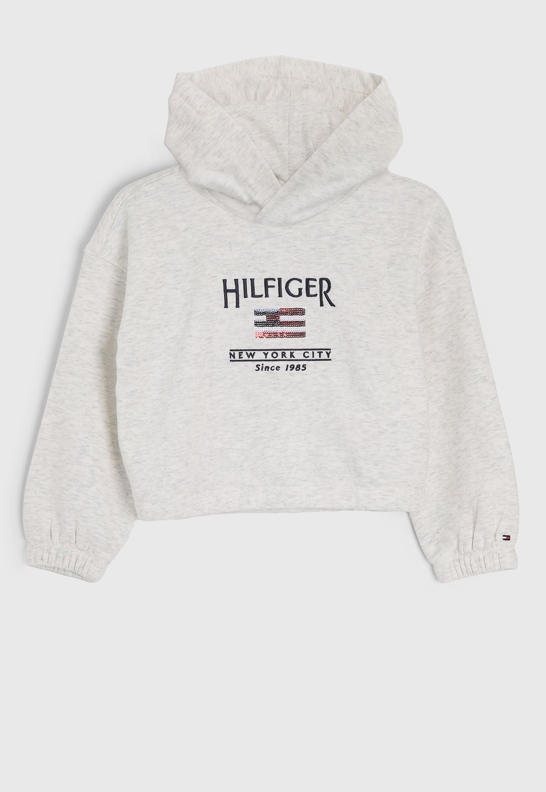 Infantil – Blusa de Moletom Tommy Hilfiger Com Capuz Cinza